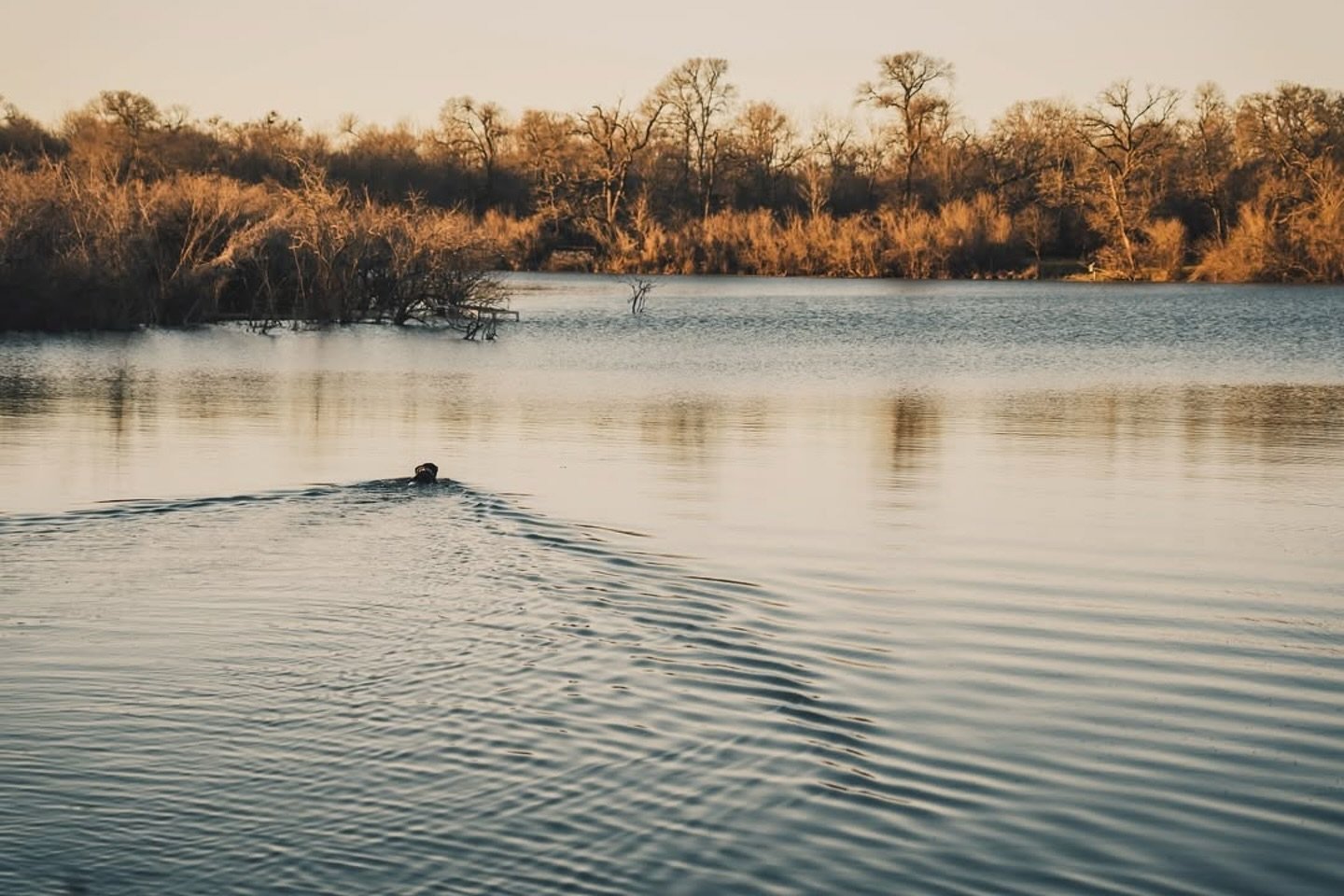 It&rsquo;s hard to beat the quiet serenity you find at Skyfall Reserve. It&rsquo;s our little slice of Heaven. And we&rsquo;re ready to share it with you, but only if you&rsquo;re awesome. If you suck, you can kick rocks. 

#skyfallreserve #heavenone