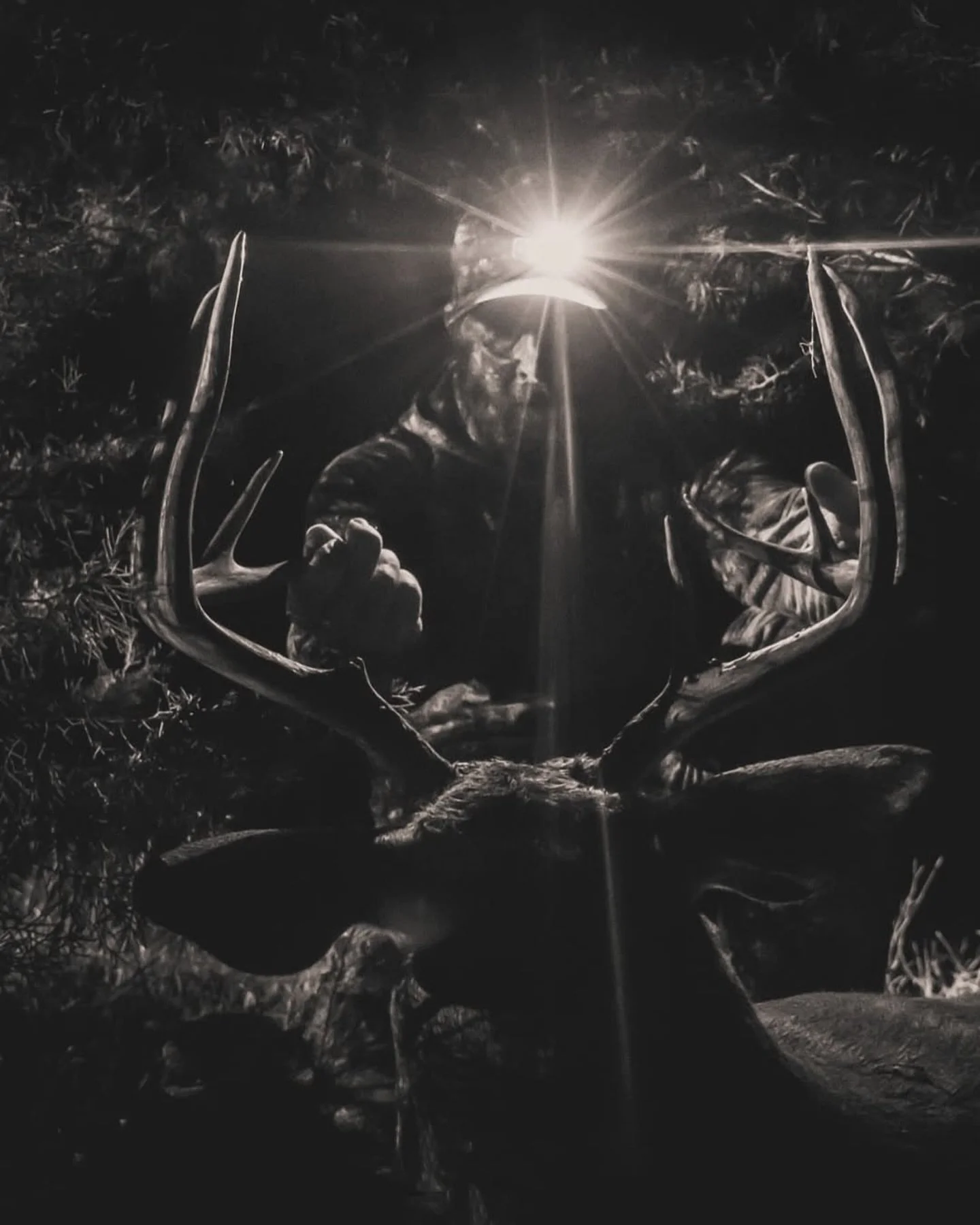 We&rsquo;ve got deer. In fact, we&rsquo;ve got deer you can hunt. If your stay at Skyfall Reserve coincides with deer season, feel free to hunt them for no extra charge. It&rsquo;s all part of our all-inclusive package. 

#whitetaildeer #whitetail #d