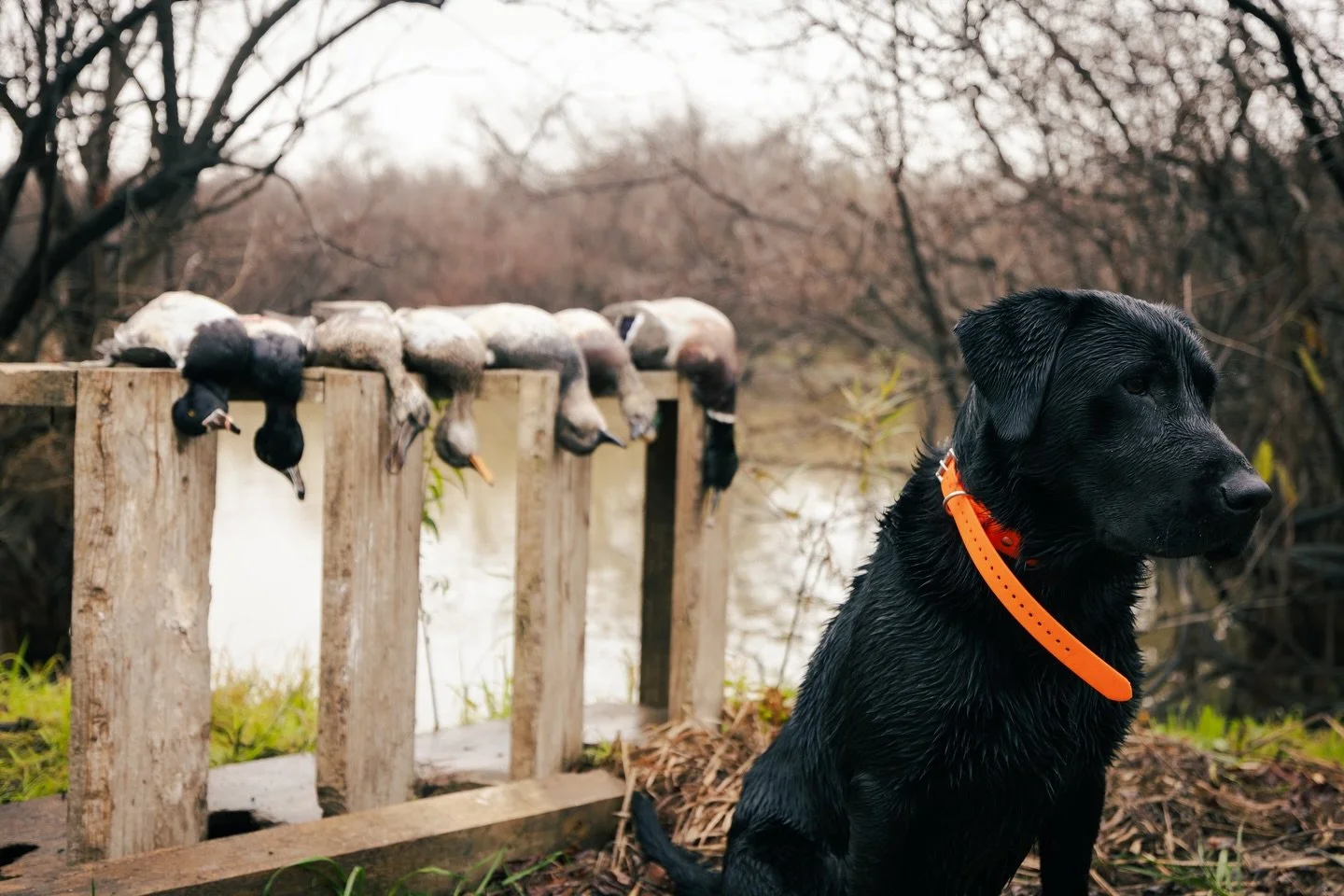 While everyone else is refreshing the page, we&rsquo;re out here. 

The only thing we&rsquo;re clicking today is the safety off. Happy Cyber Monday nerds. 

#skyfallreserve