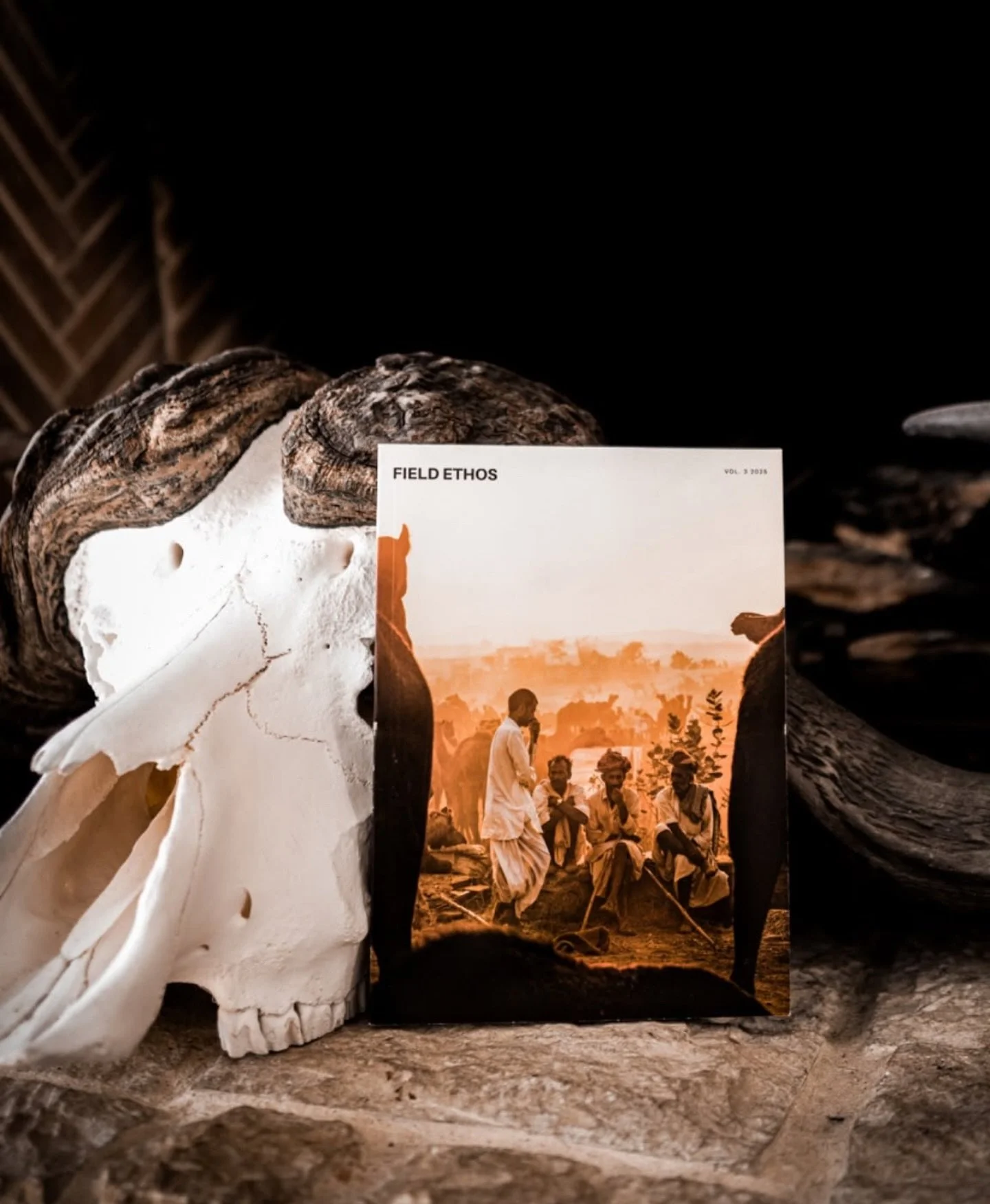 Tossing around the idea of hosting a men&rsquo;s retreat here at Skyfall in collaboration with @fieldethos 

Comment below if that&rsquo;s something that tickles your noodle at all 🤗