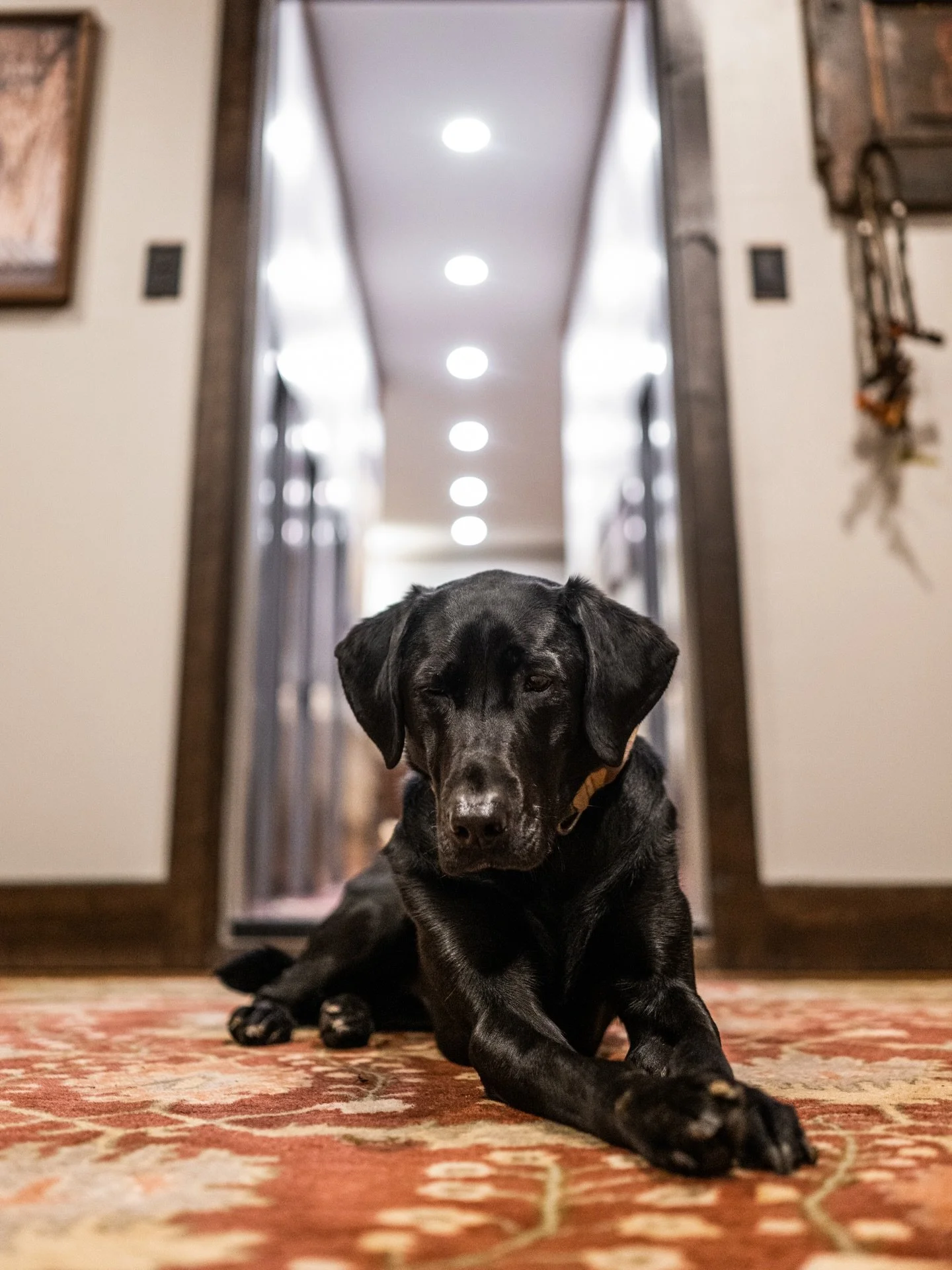 My Monday mood when I&rsquo;m headed to work instead of the duck blind&hellip;