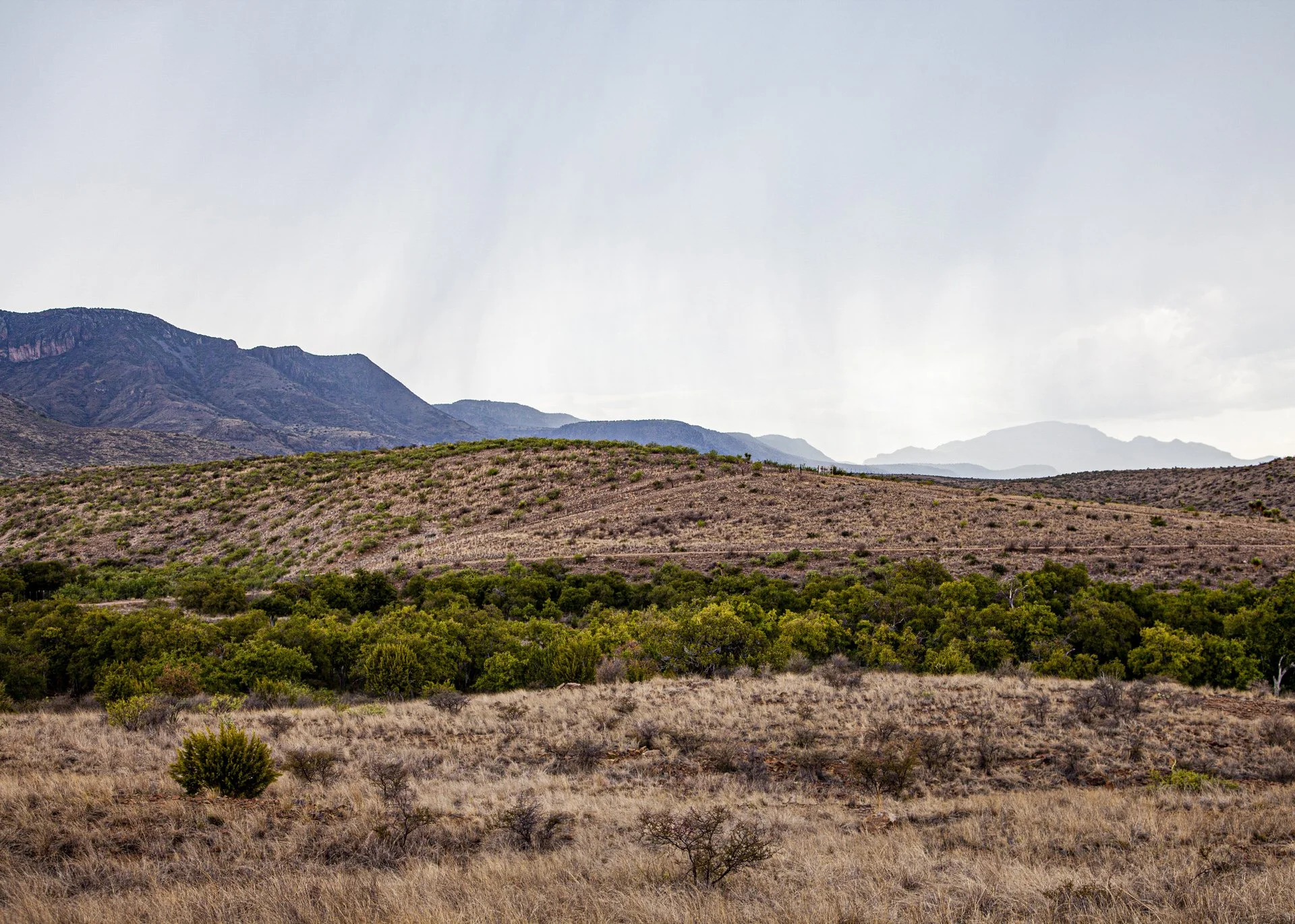 Landscape with dry grassy hills, sparse green shrubs, and distant mountains under a cloudy sky.