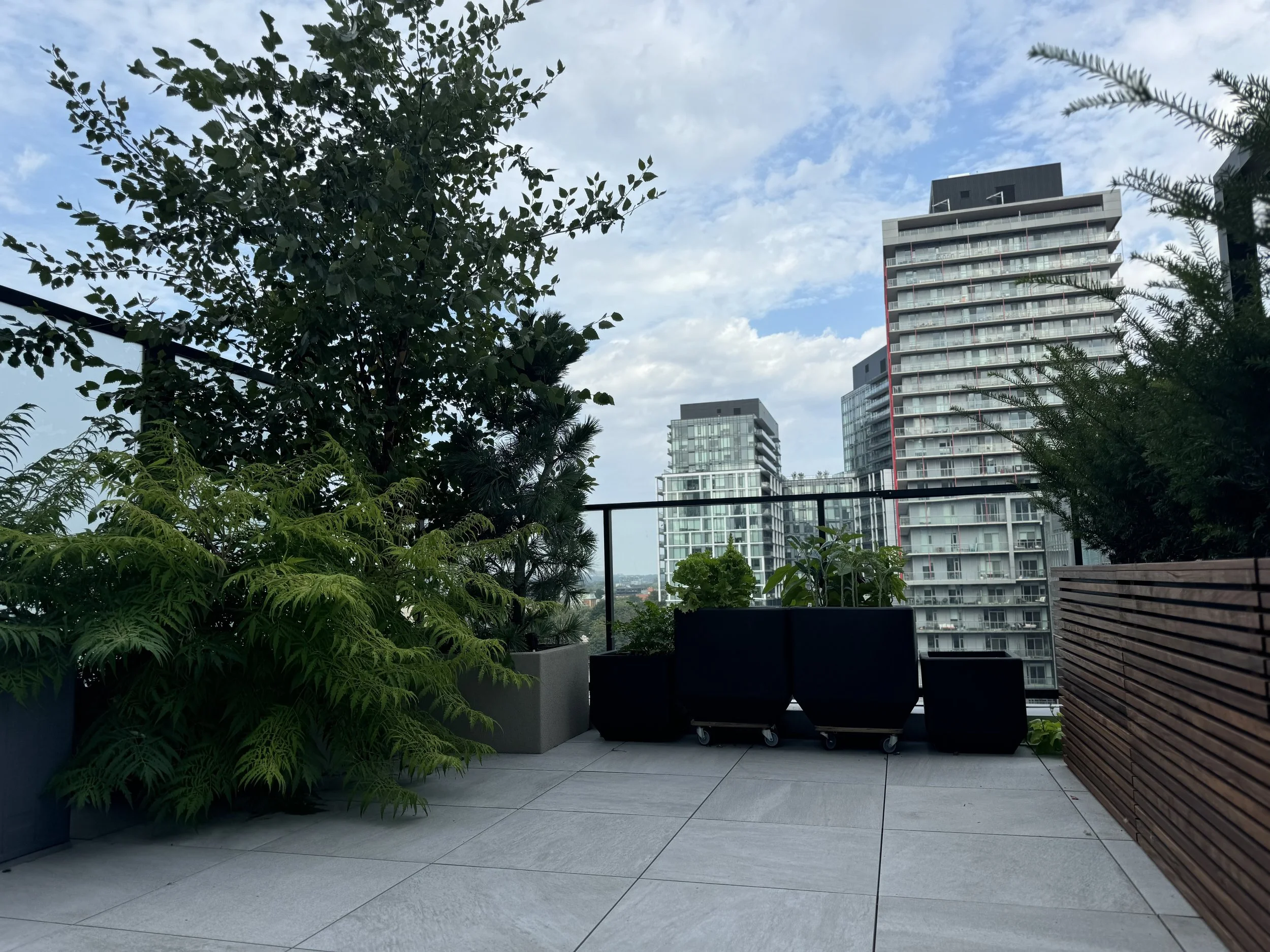 BOX_DESIGN_richmond_street2_custom_luxury_pergola_terrace_design_planter_boxes_porcelain_tile_09.jpg