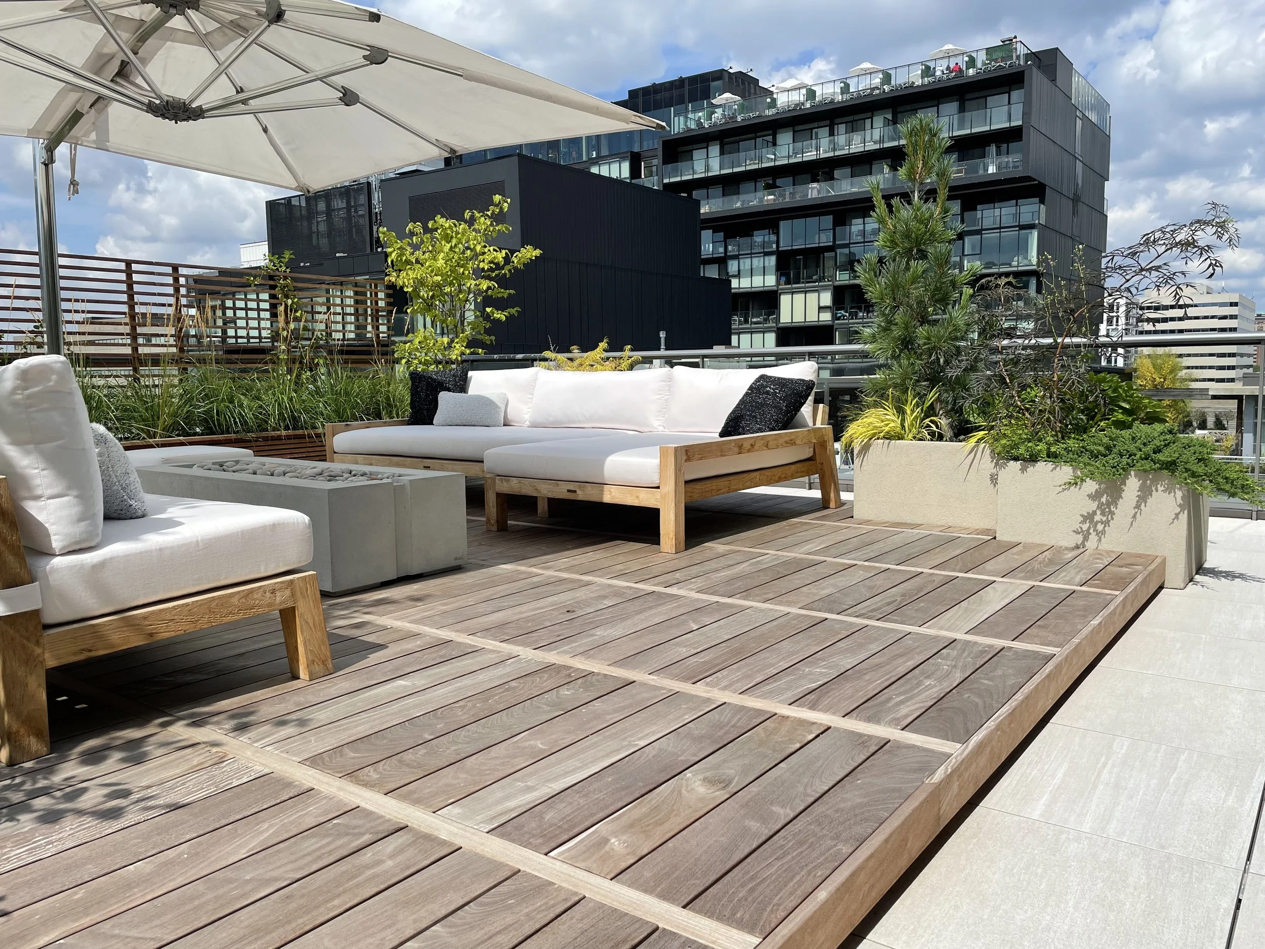 BOX_DESIGN_stewart_street_rooftop_terrace_luxury_design_build_planter_box_02.jpg