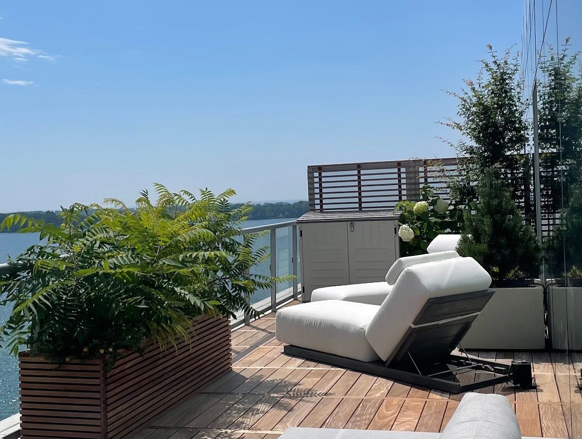 Private lounge section overlooking the harbour front surrounded by our custom Ipe planter box with tiger eyes sumachs, Japanese maples and hydrangeas.