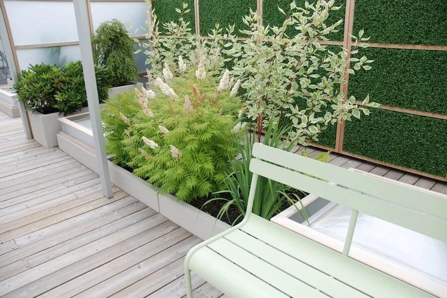BOX_DESIGN_Annex_outdoor_rooftop_terrace_garden_landcape_build_custom_design_toronto_annex_5.jpeg