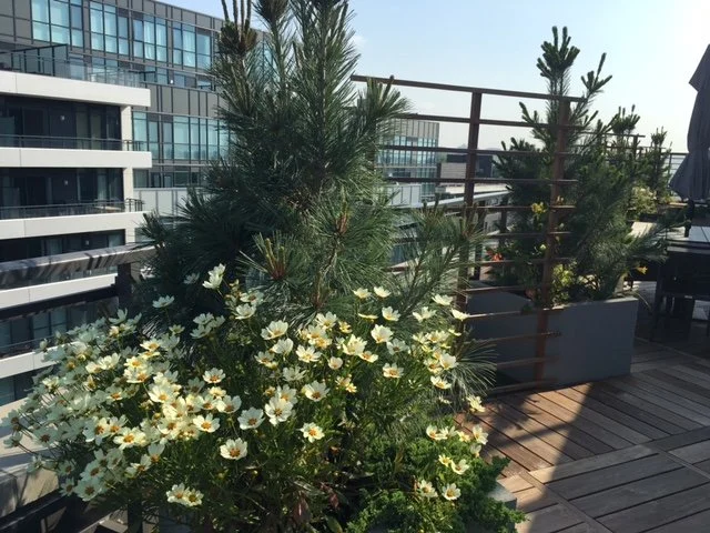 BOX_DESIGN_oaklands_custom_rooftop_terrace_design_toronto_patio_d_build_planter_boxes_02.jpg