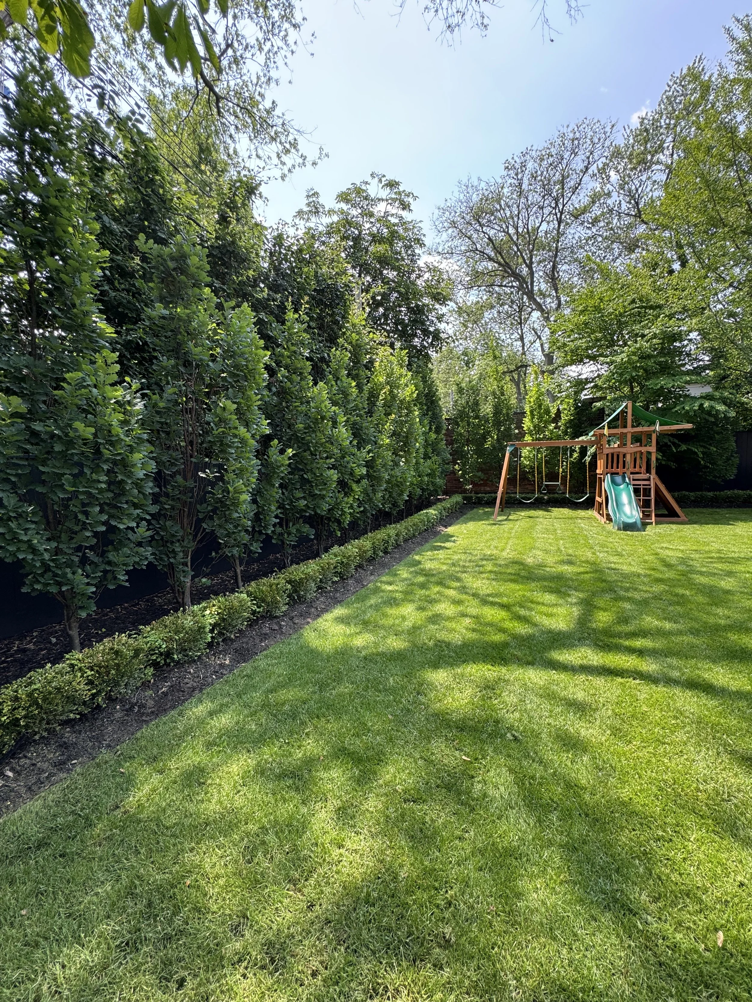 Rosedale Backayard Project 1 .jpg