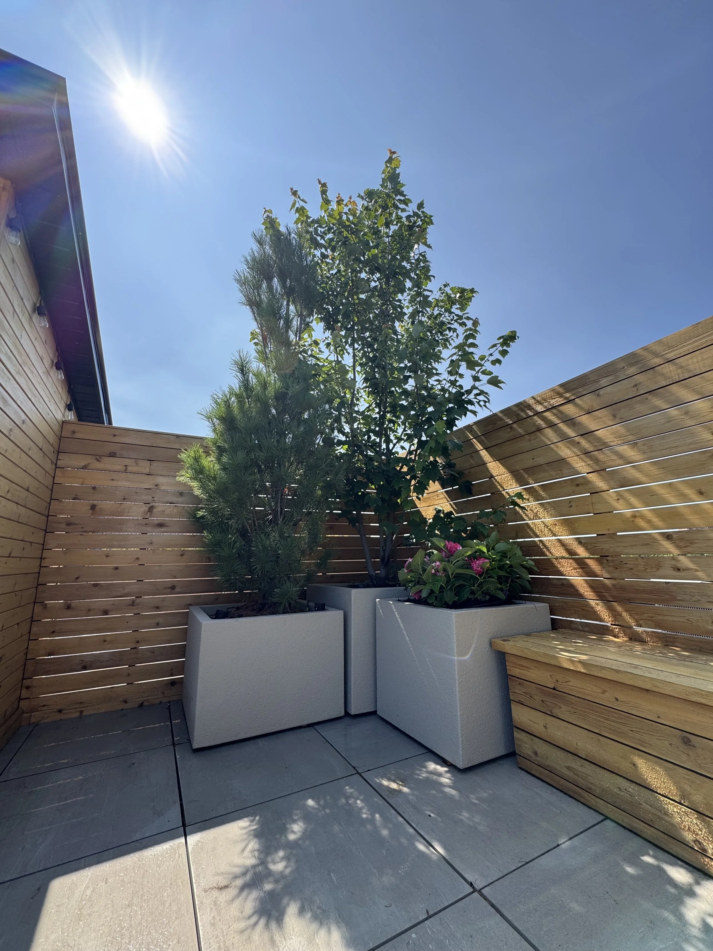 BOX_DESIGN_dundas1_luxury_rooftop_pergola_custom_garden_boxes_toronto_03.jpg