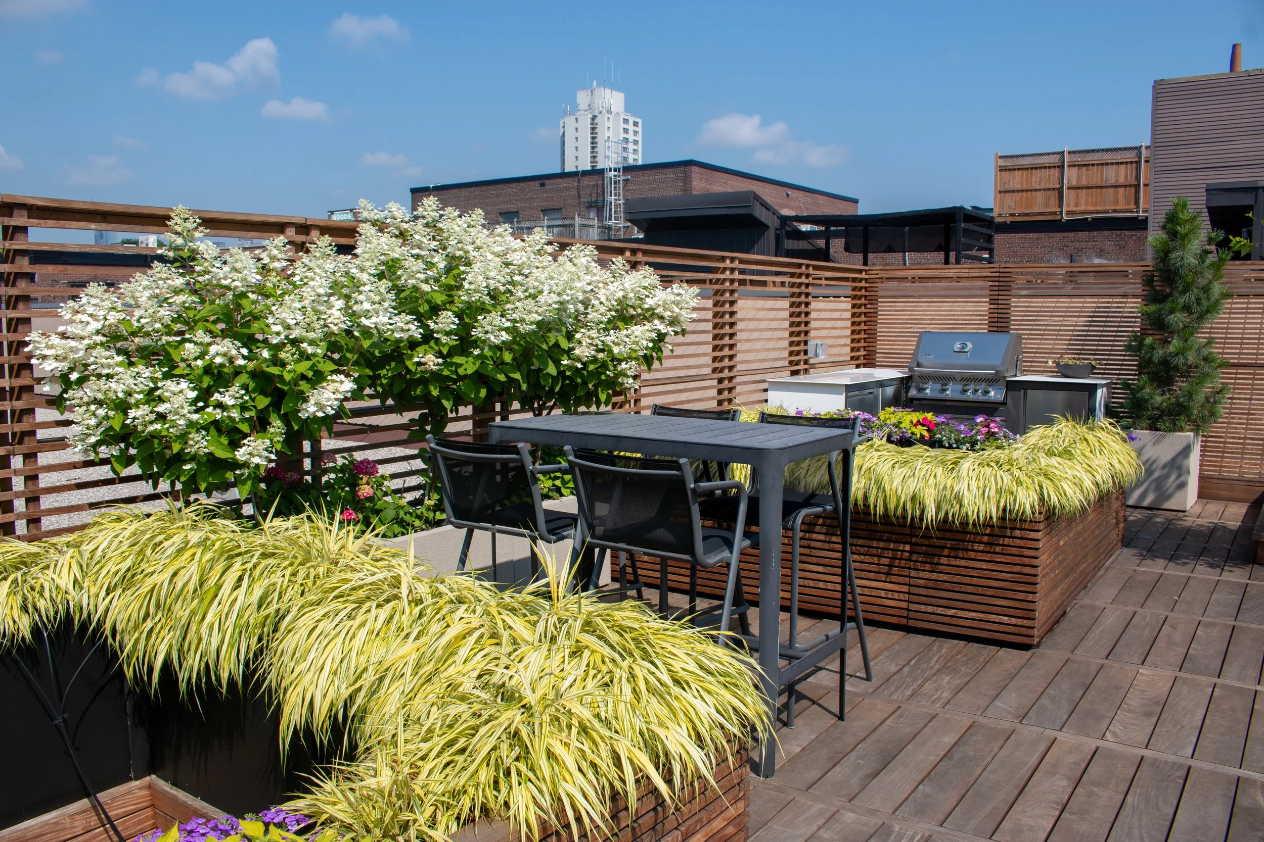 Leslieville Rooftop Terrace