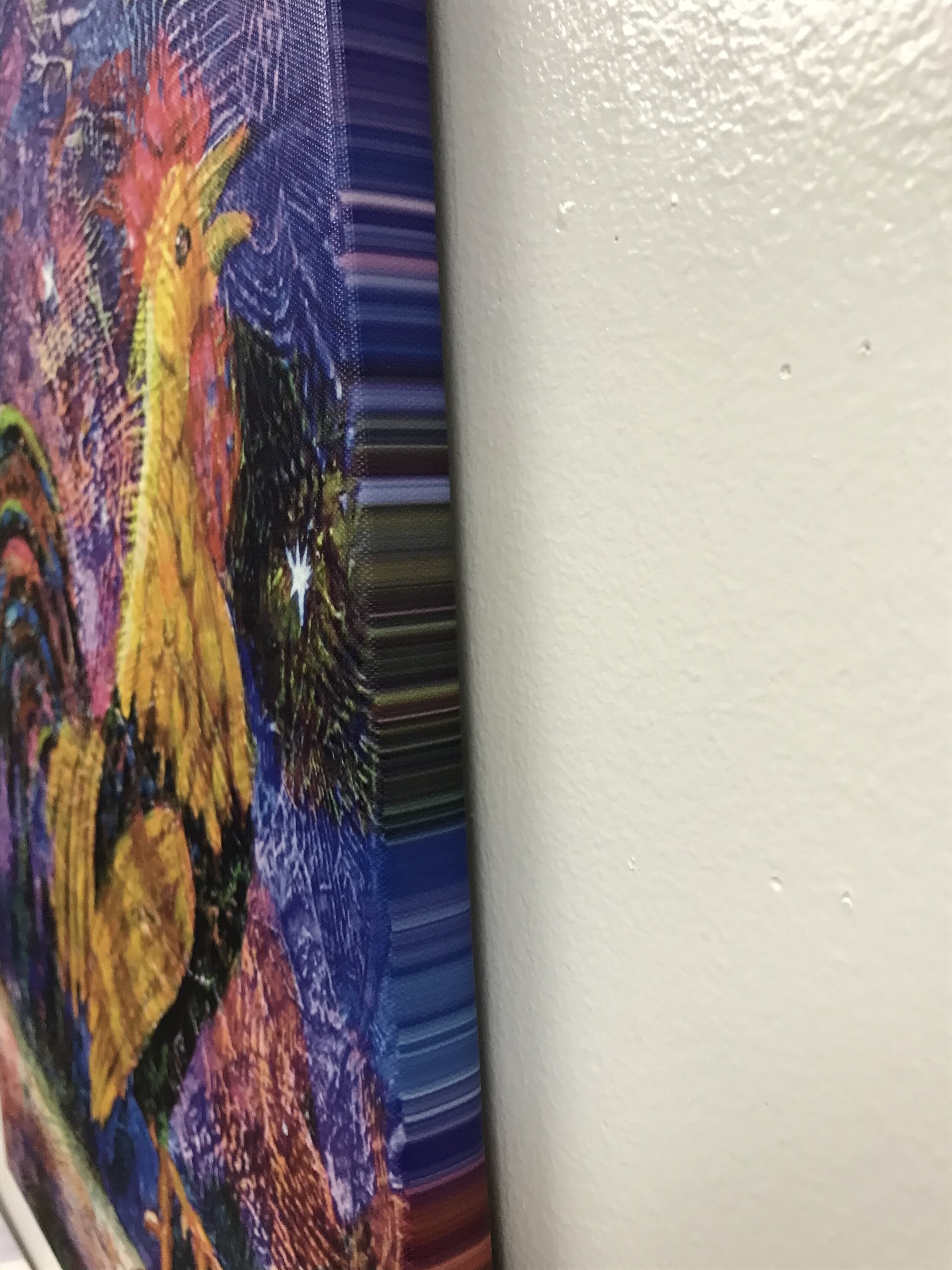 IMG_5475.jpeg