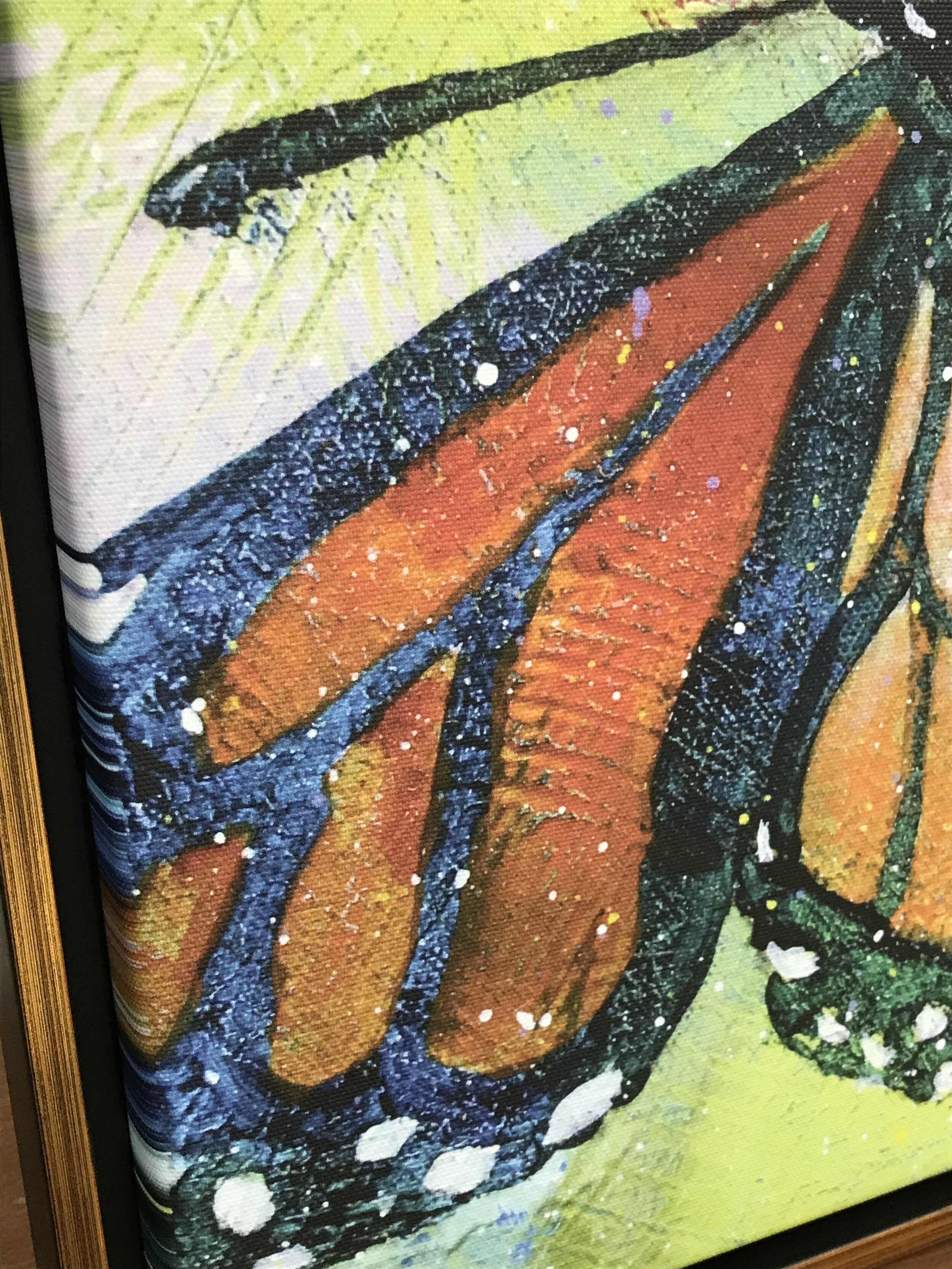 IMG_5887.jpeg