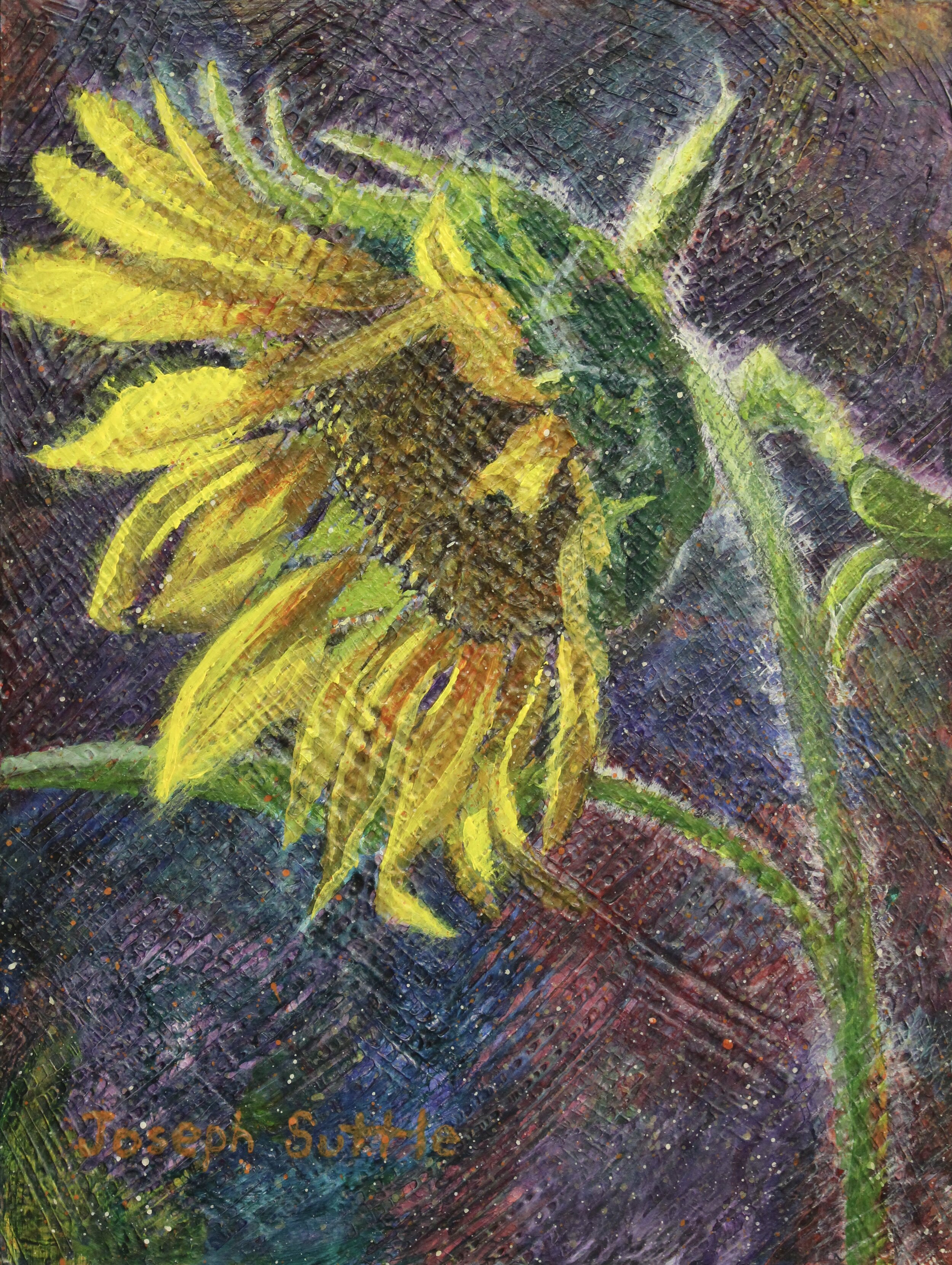 This original painting is by Joseph Suttle and illustrates one sunflower. It is called Sunflower Solo.
