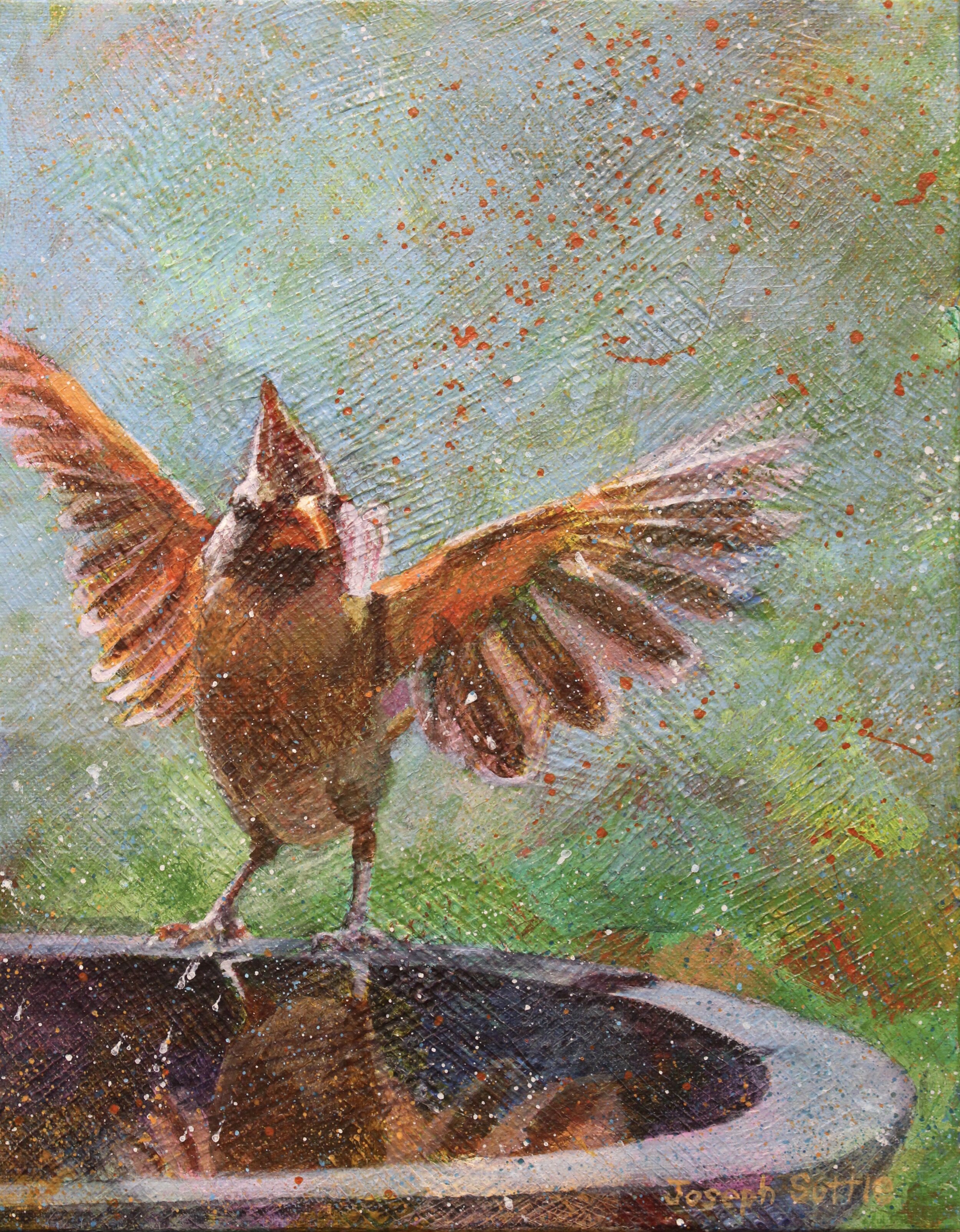 This original painting by Joseph Suttle depicts a female cardinal preparing to fly away from a birdbath.