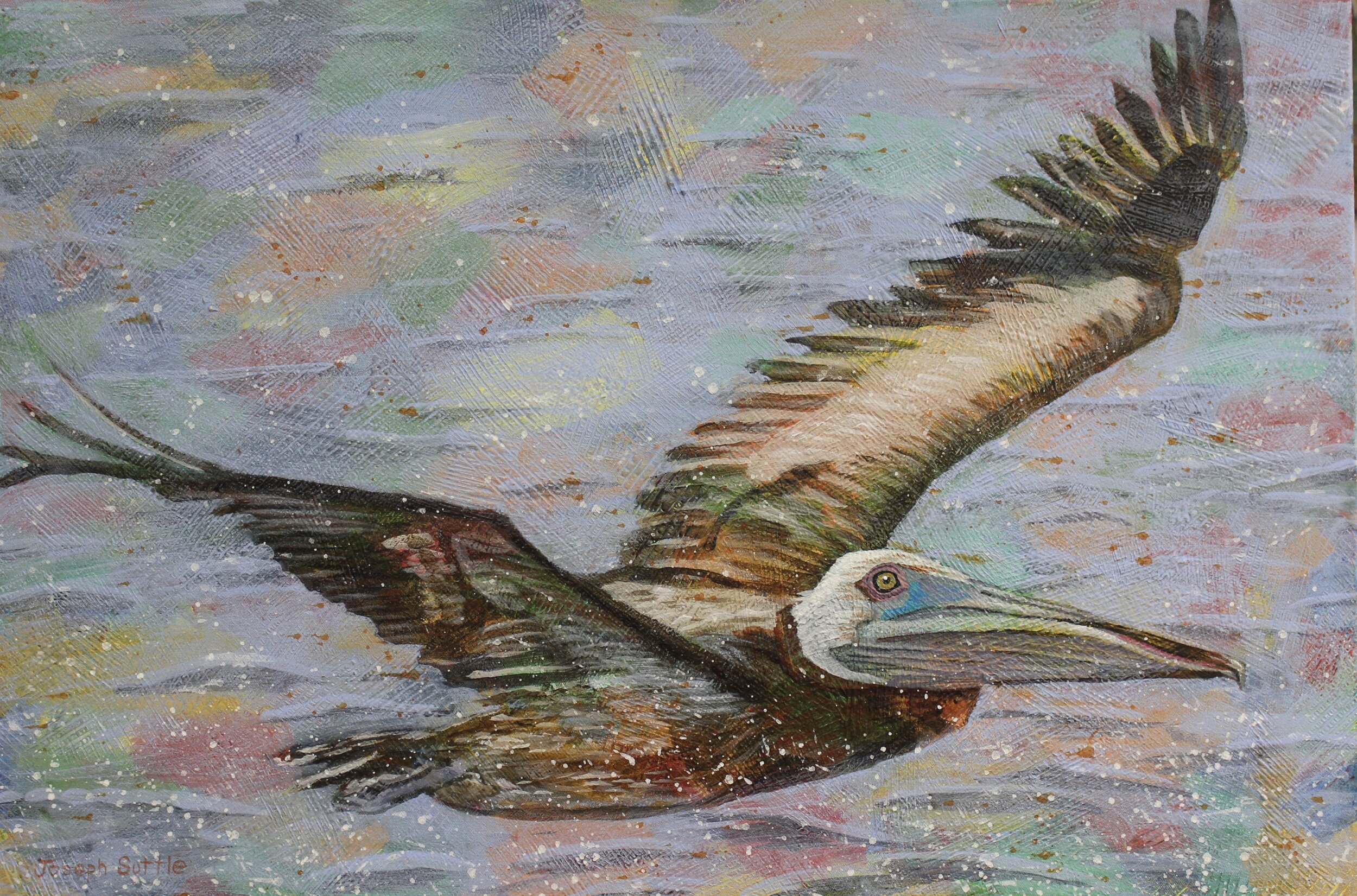 This original painting of a pelican flying over water is painted by Joseph Suttle.