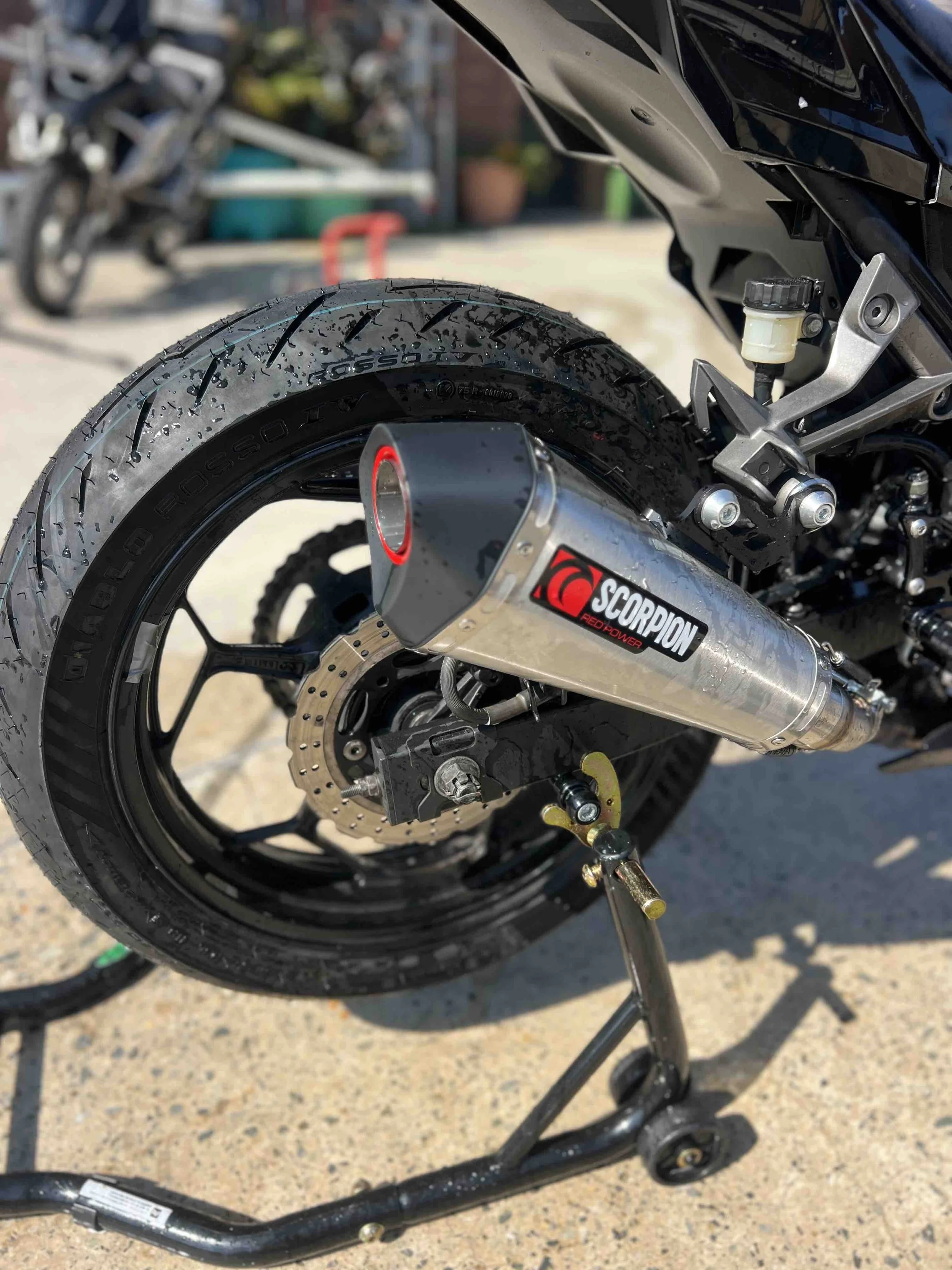 5. ninja 300 track.jpg