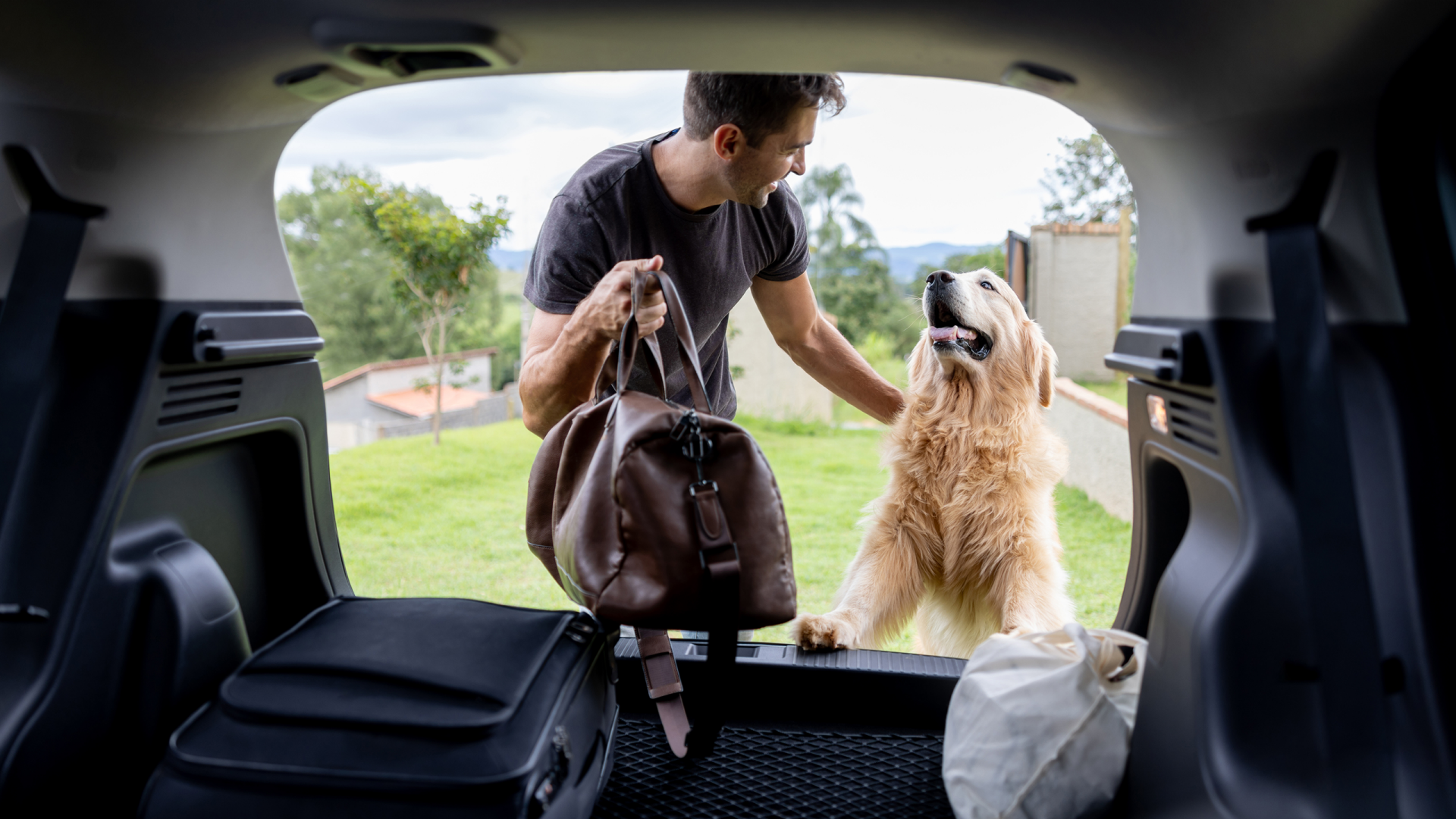 seo_pet-friendly-cars_20230126.png