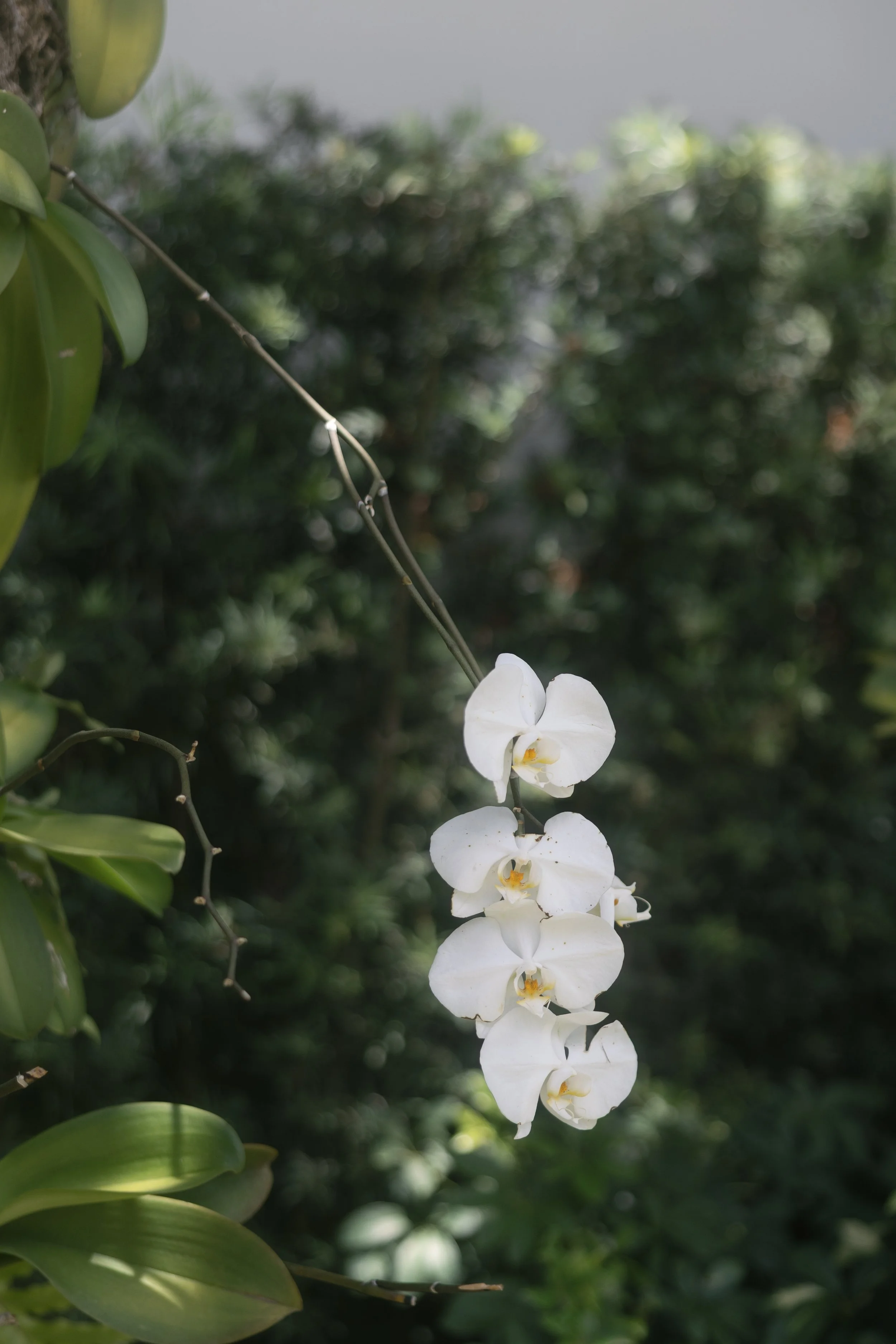 5F5A8787.jpg