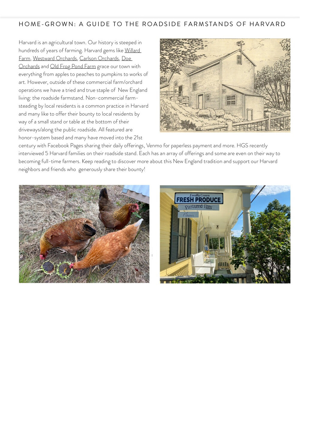 HGS-newsletterinto.jpg