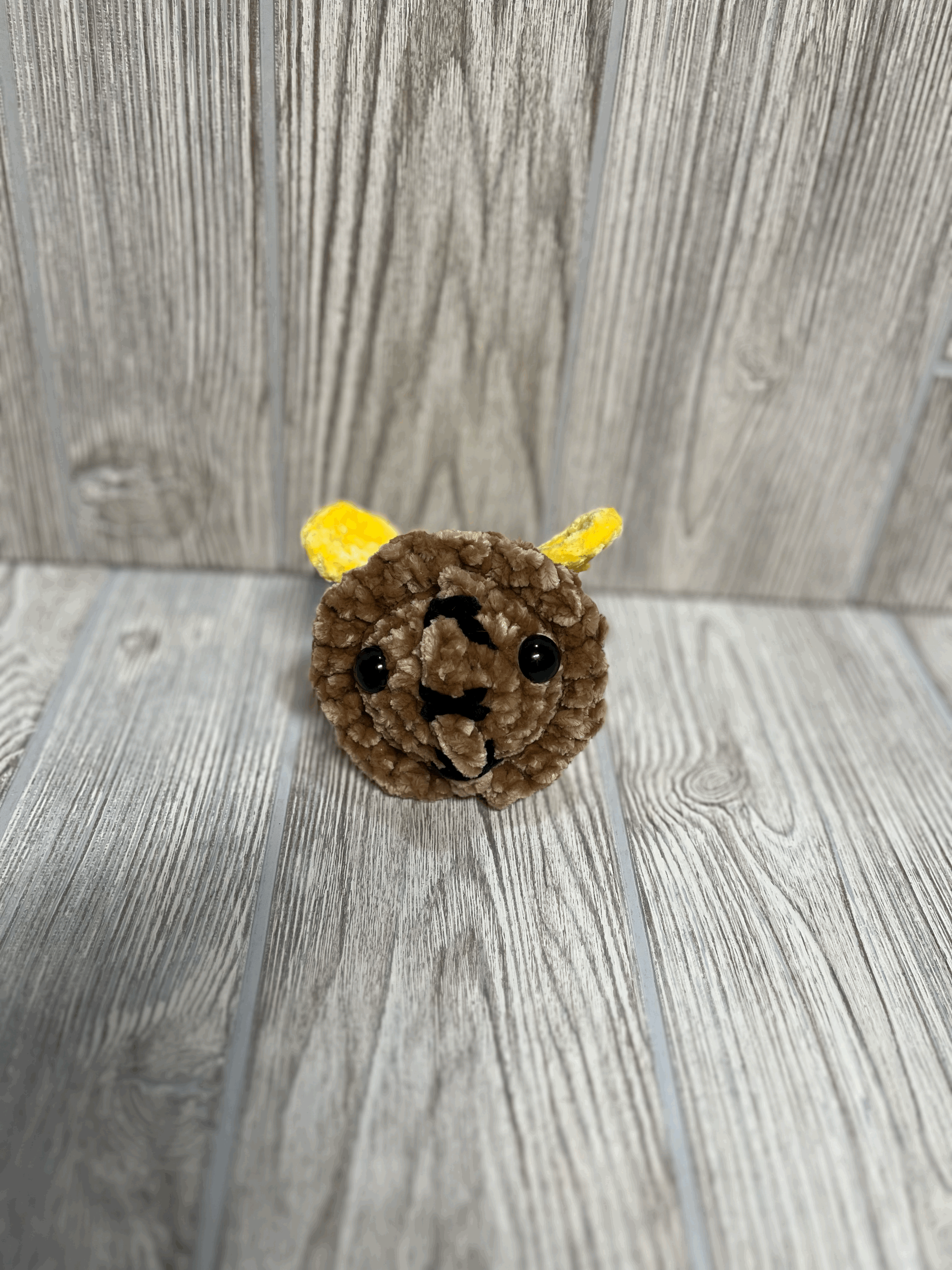 tempImageiXm0Gv.gif