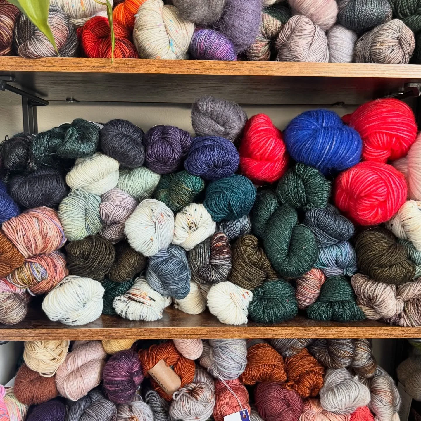 I was tidying up my craft space and realized I'm obsessed with one yarn dyer. Want to take a guess? Tag them below!