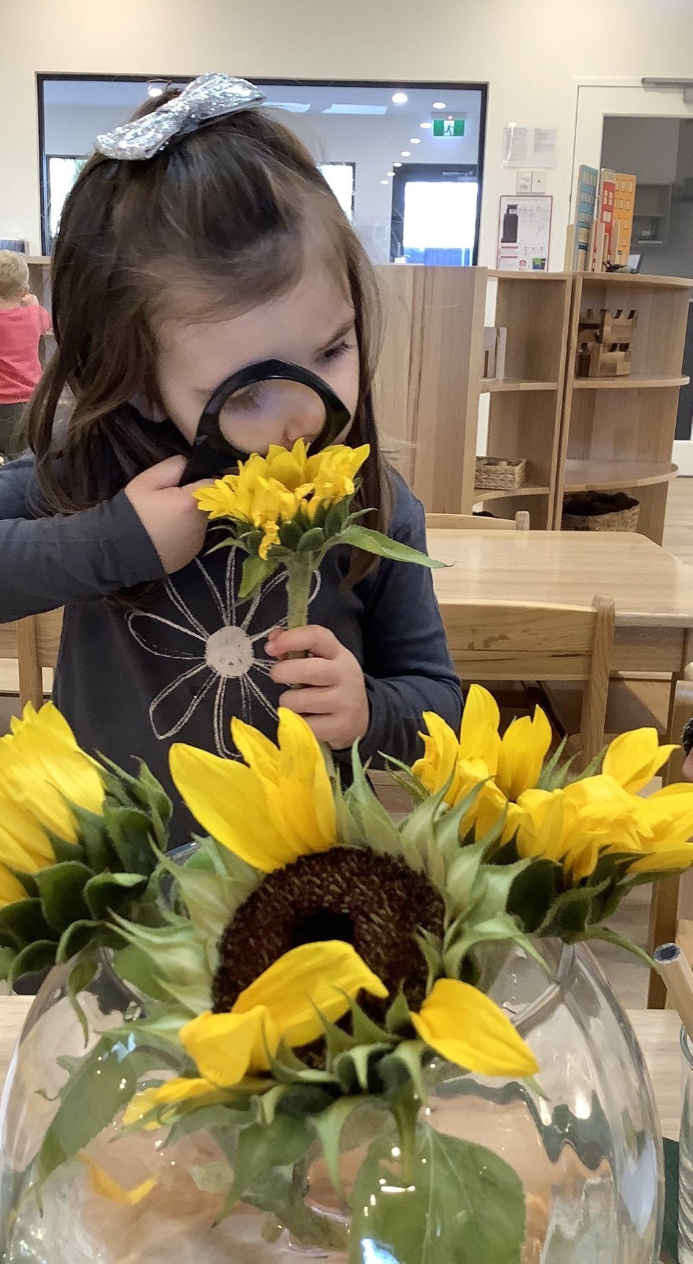 inspecting sunflowers.jpg