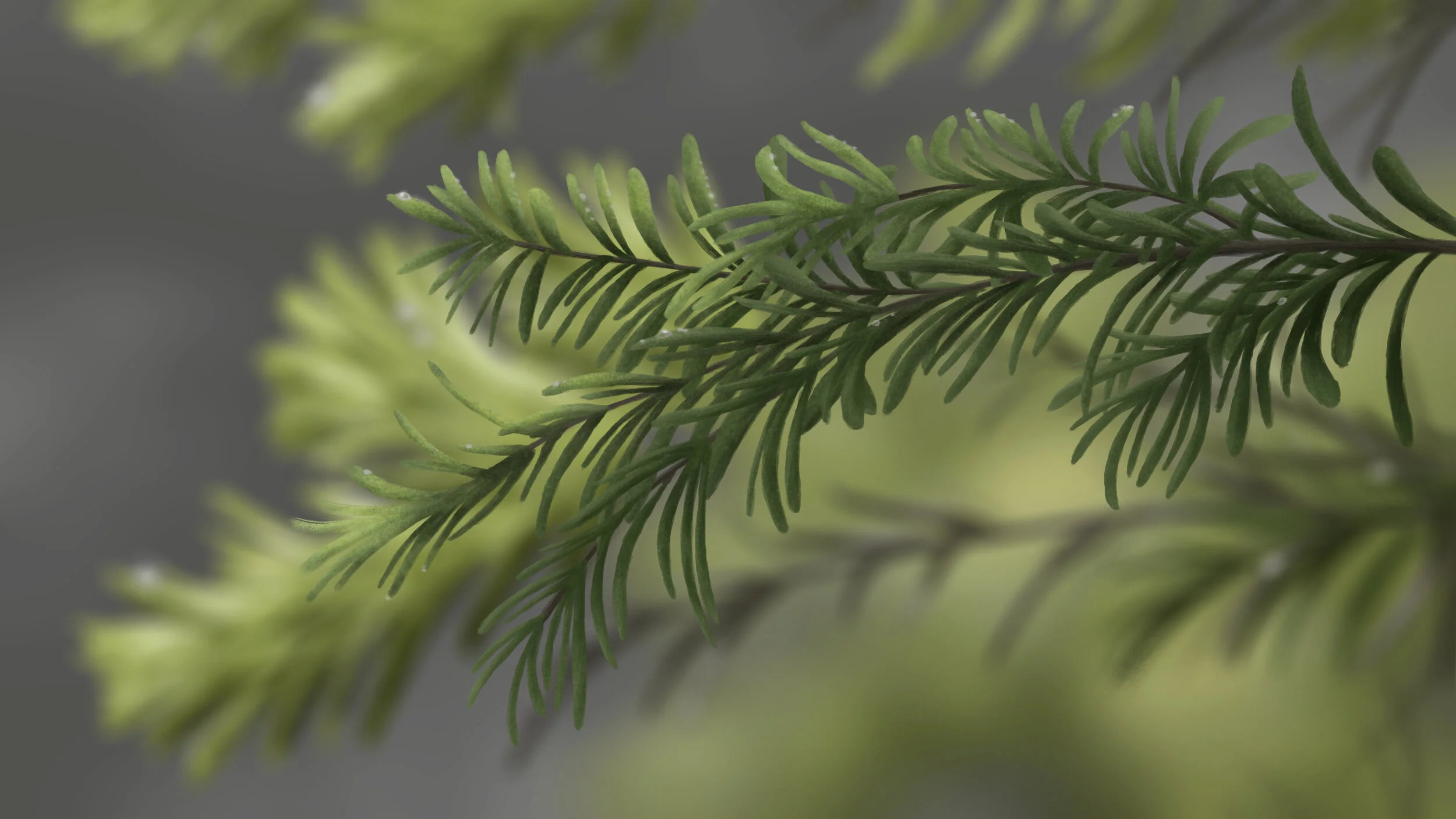 Shot 42 - Background.jpg