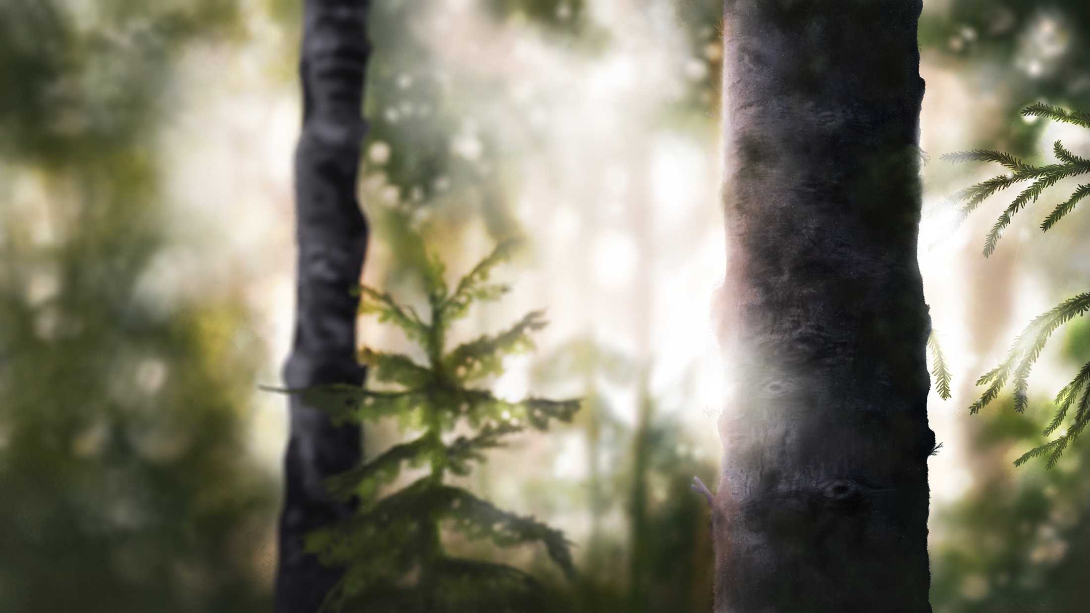 Shot 10 - Background_WEB.png