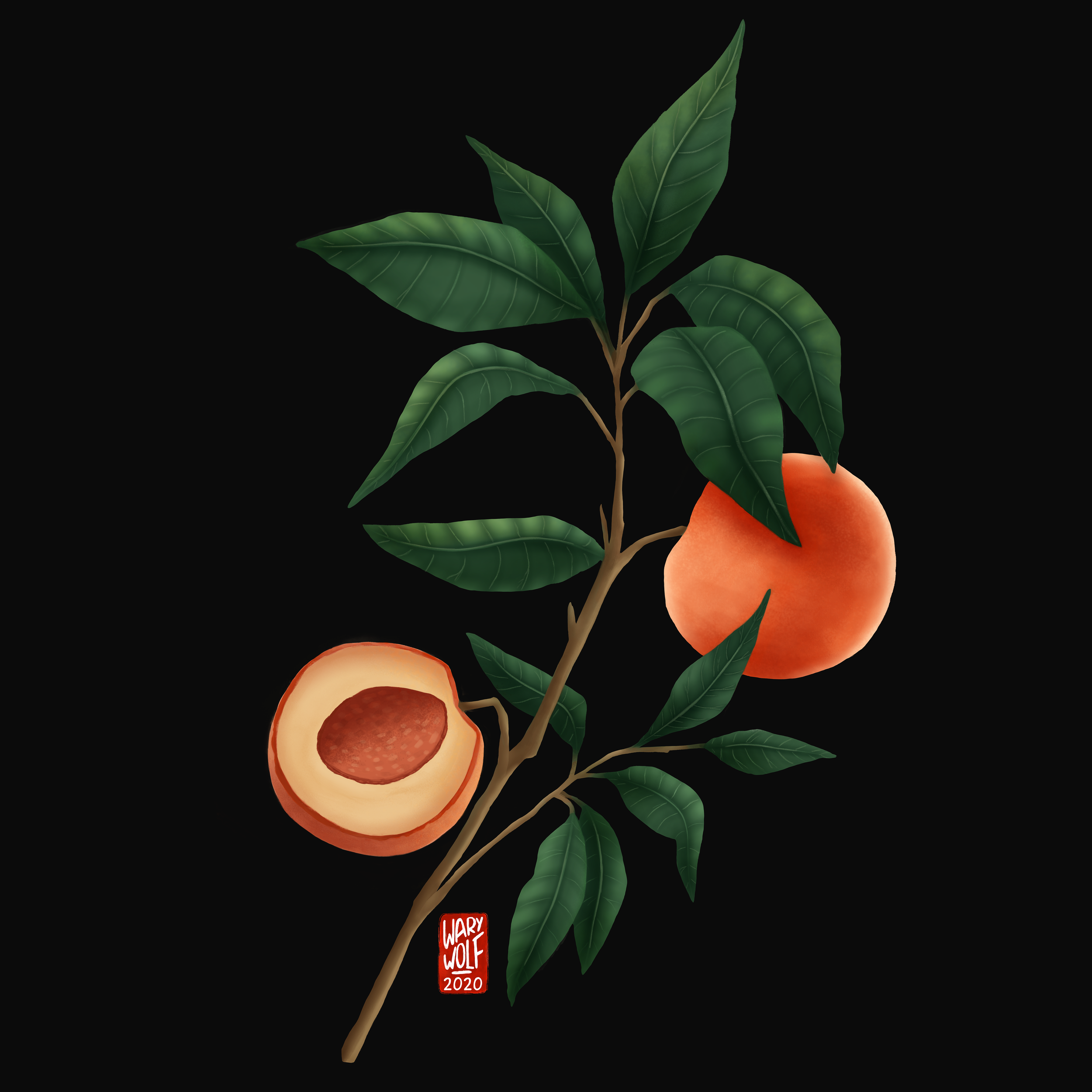 PeachPattern_WEB_04.png