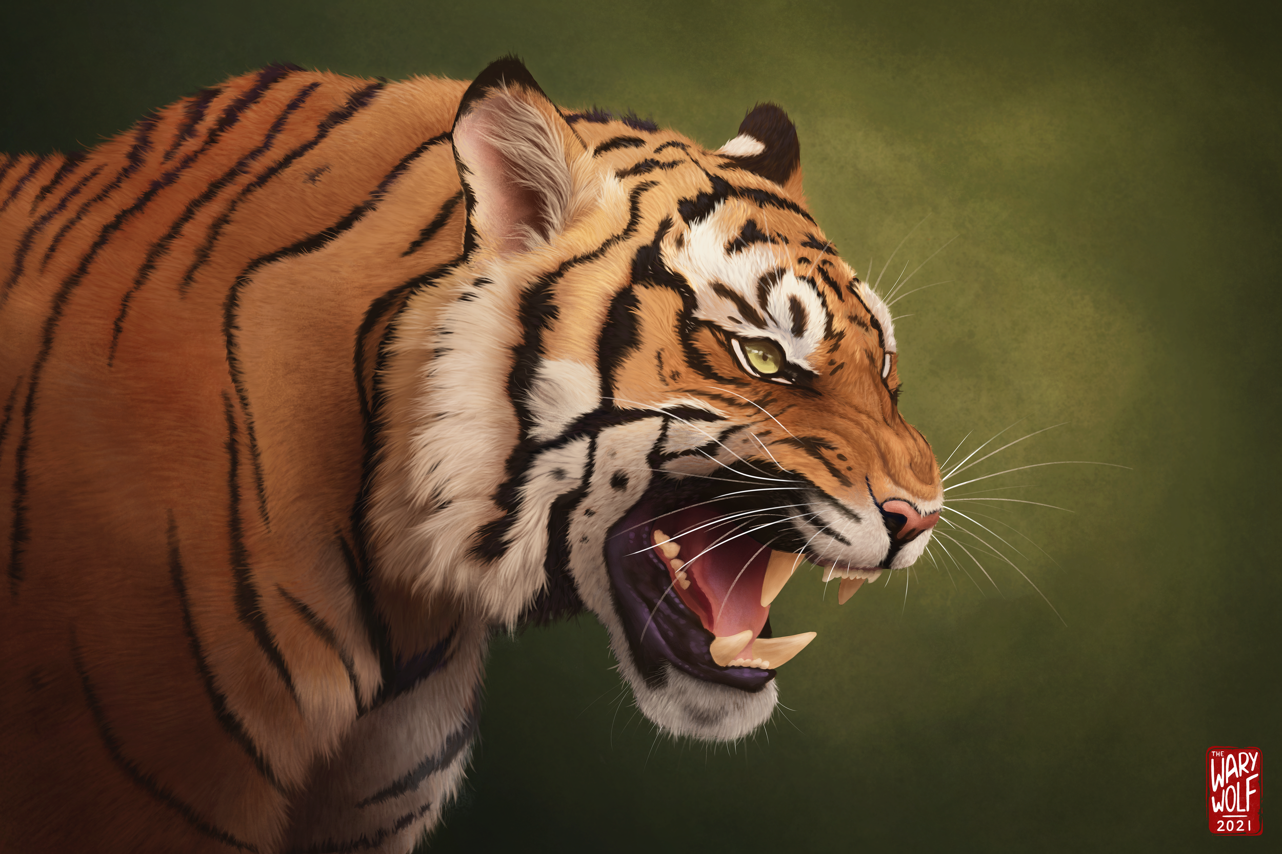 TigerStudy copy.png