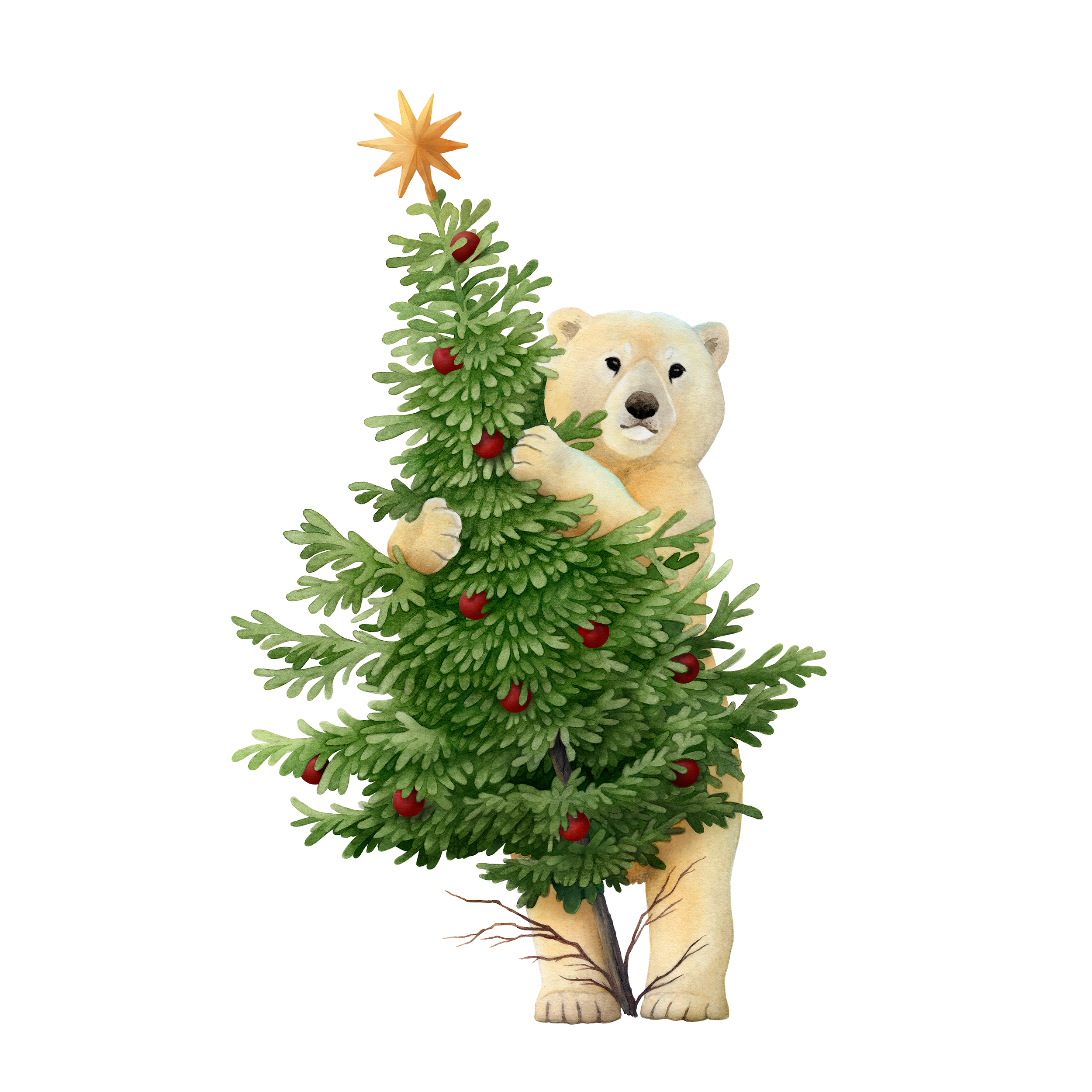 Bear&TreeCard_WEB.png