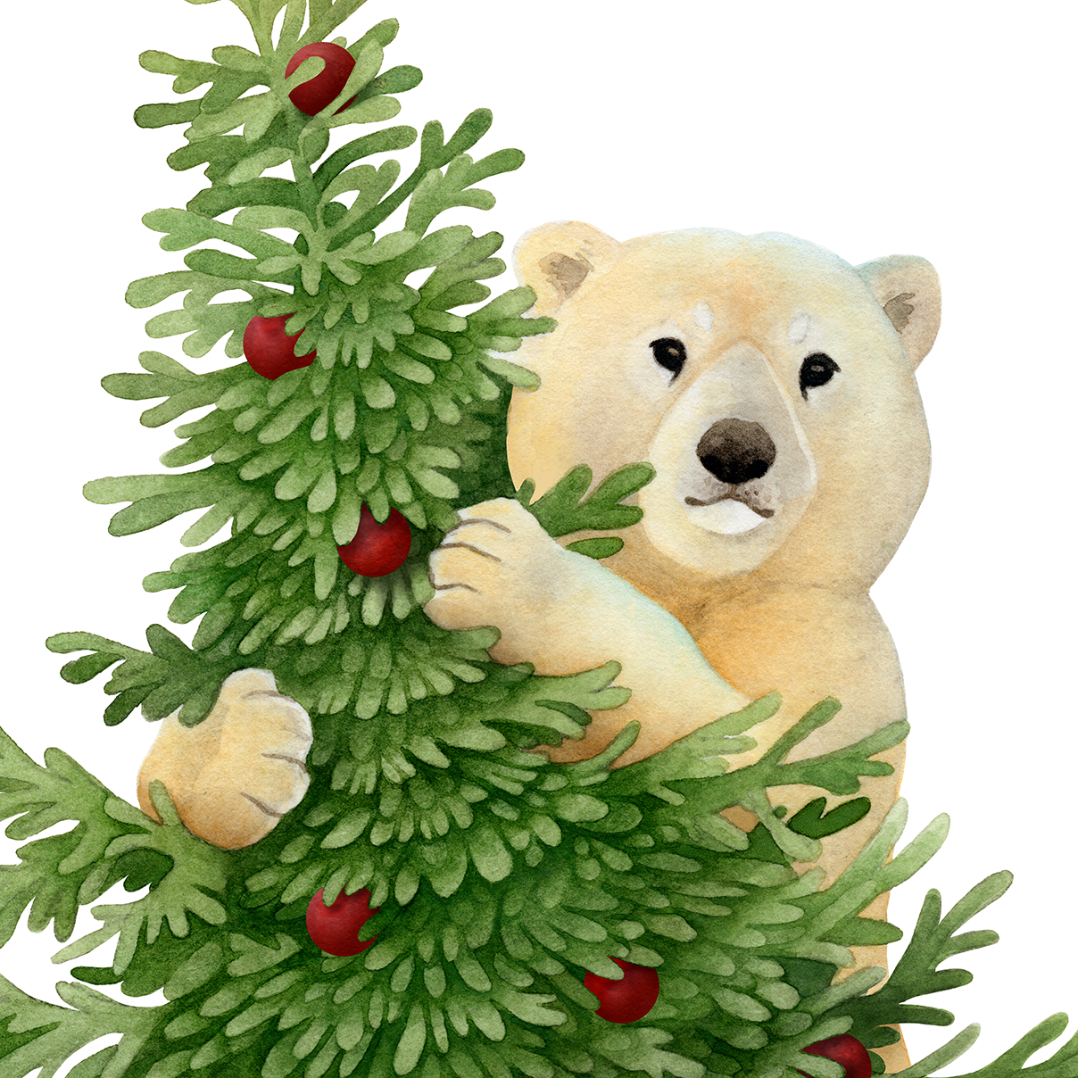 Bear&TreeCard_WEB copy.png