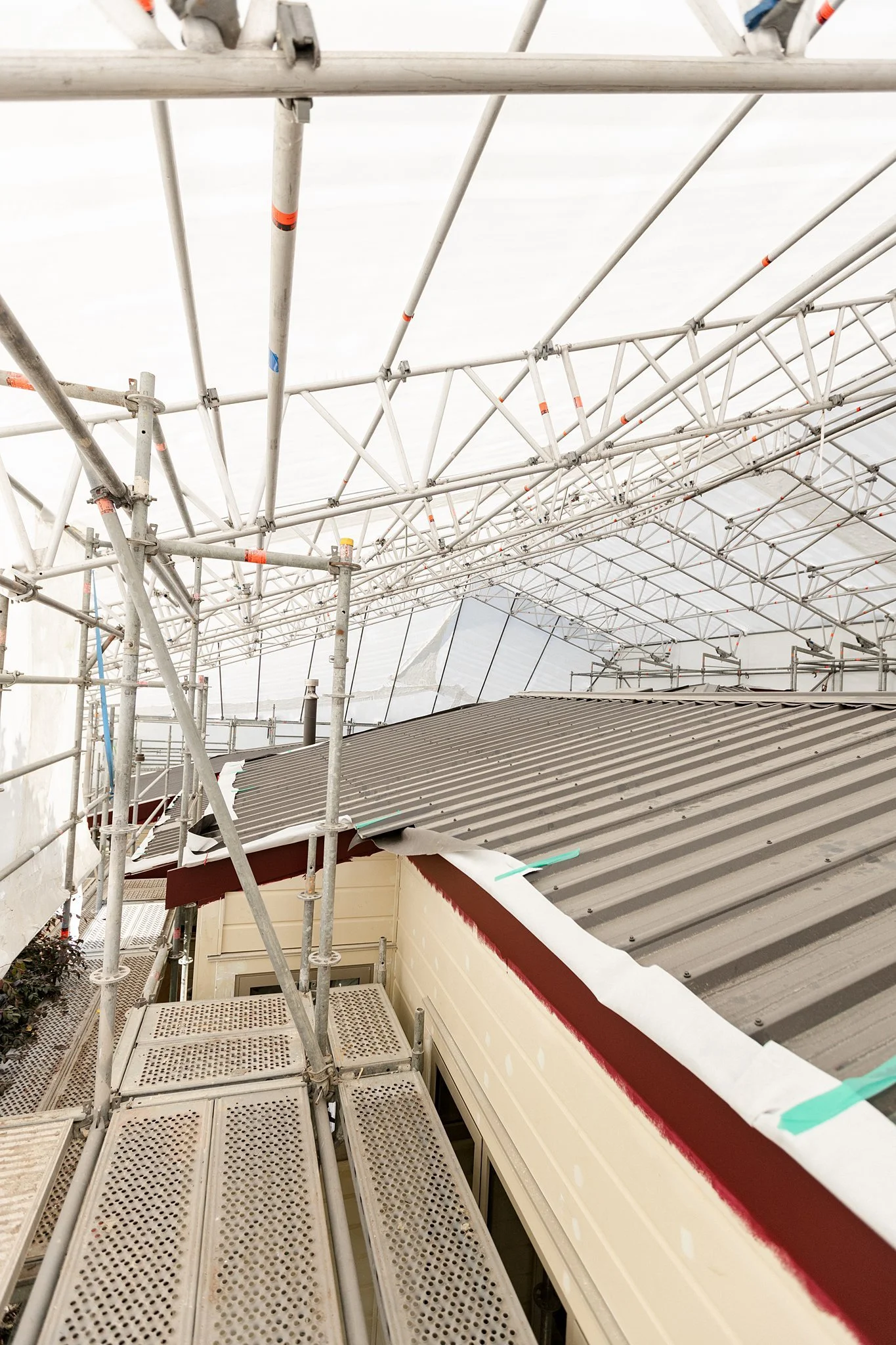 Exterior recladding transformation in Te Puna_0003.jpg