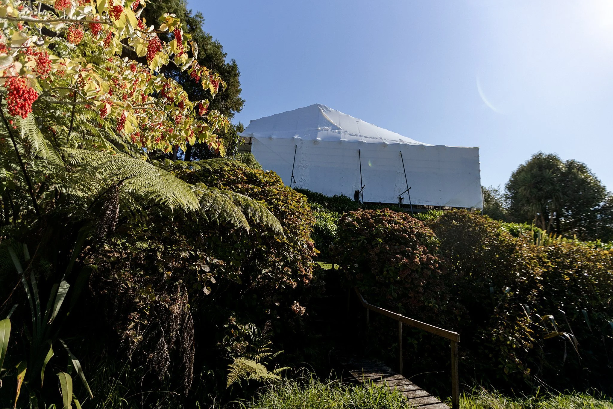 Exterior recladding transformation in Te Puna_0006.jpg