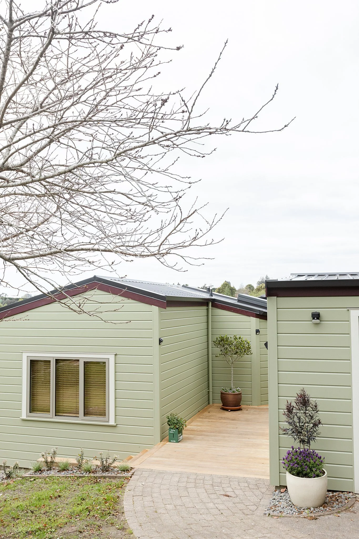 Exterior recladding transformation in Te Puna_0020.jpg