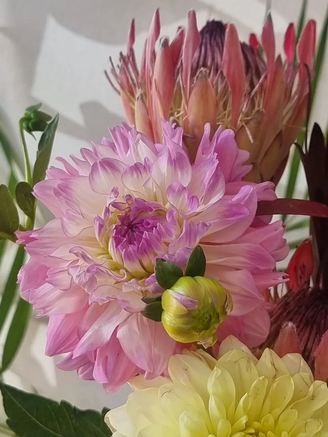 Close up of a custom from this week currently making plans for when dahlia season is over 😅

#dahliaseason #locallygrownflowers #perthcreatives