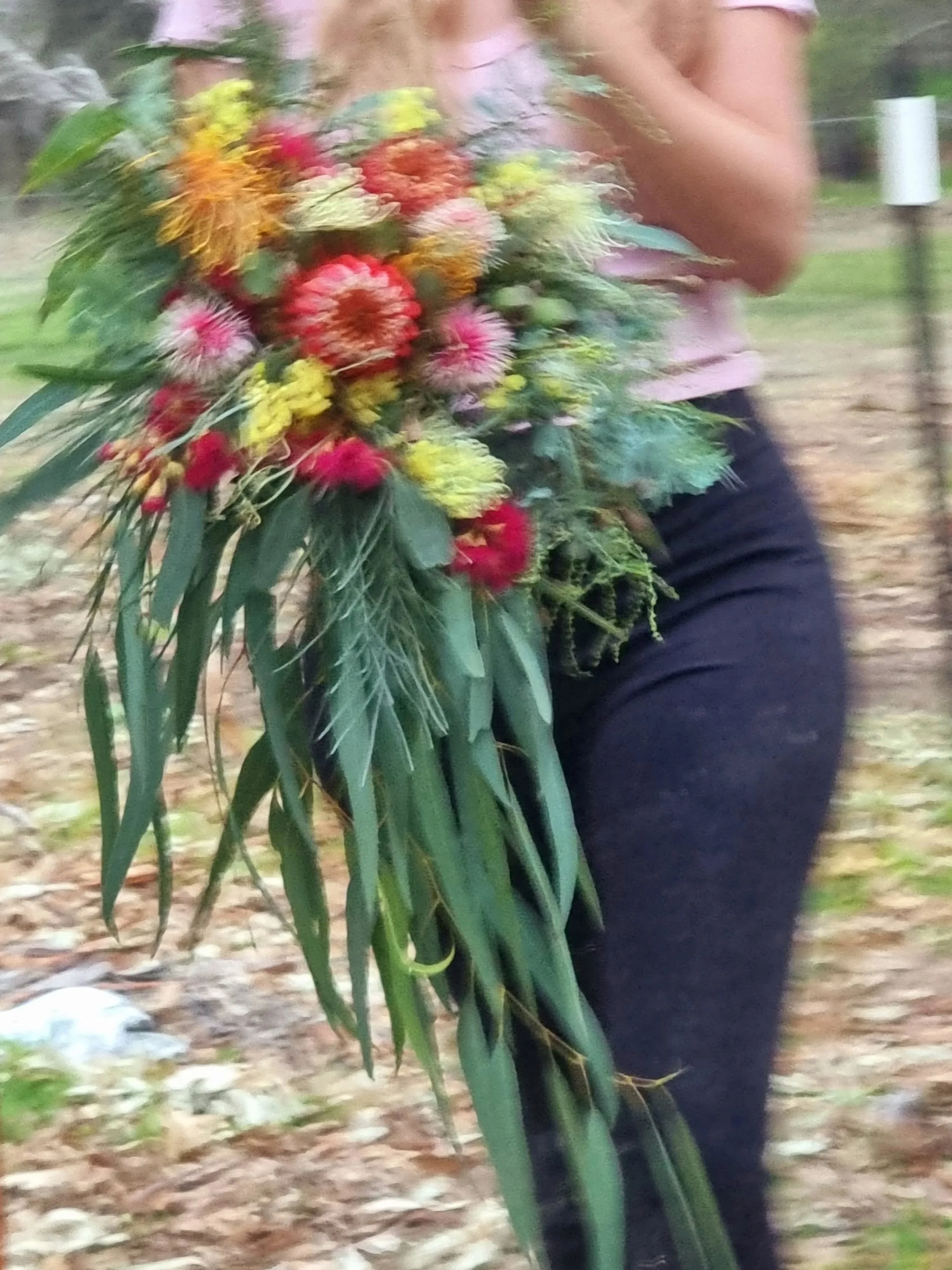 Besides the banksias, these all grew on the property 🫶
 Our WA natives are so full of texture, and I'm about it 🫶

#westernaustralianflora #waflorist #cascadingbouquet #nativebouquet #perthbride