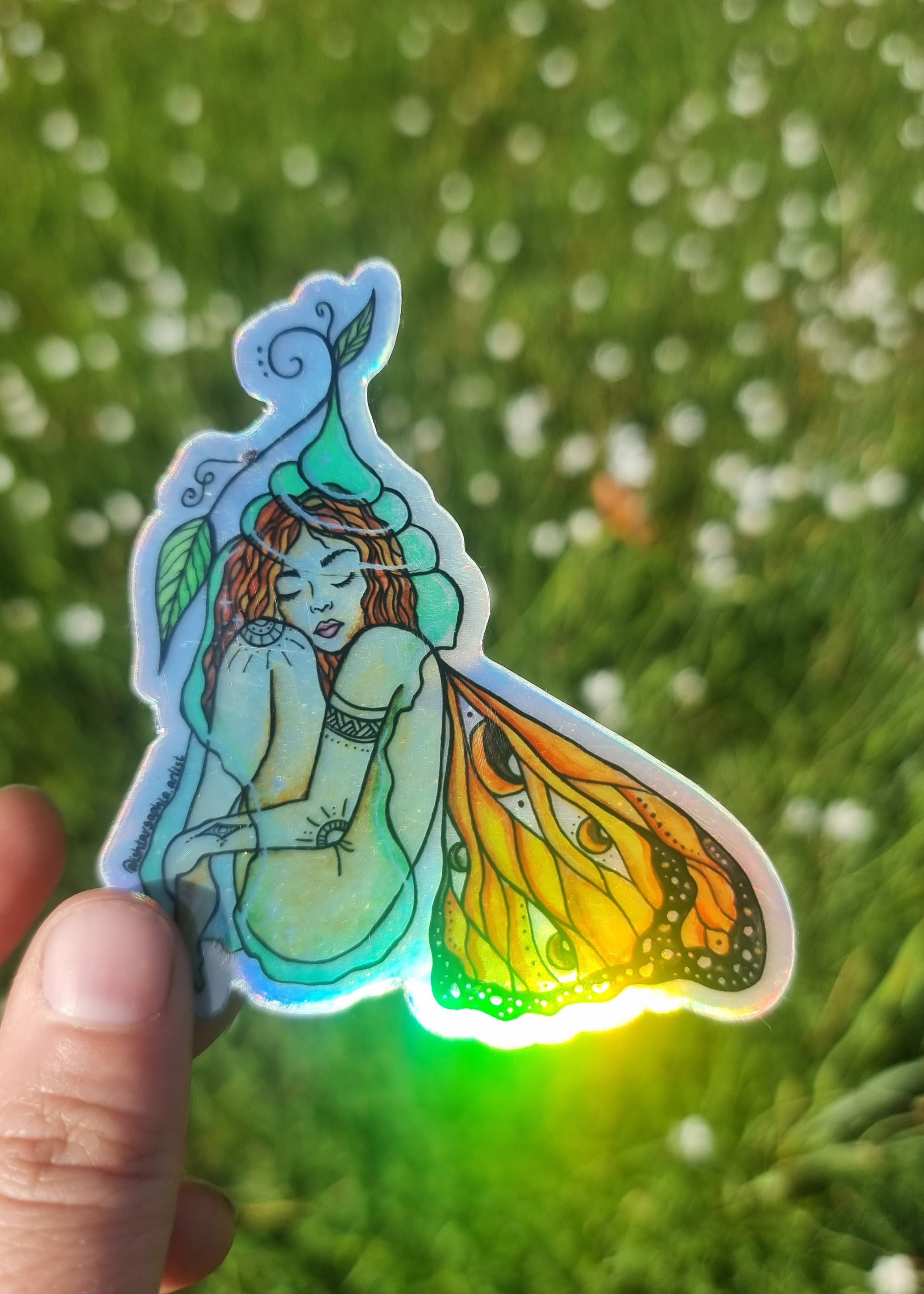 Metamorphosis Sticker