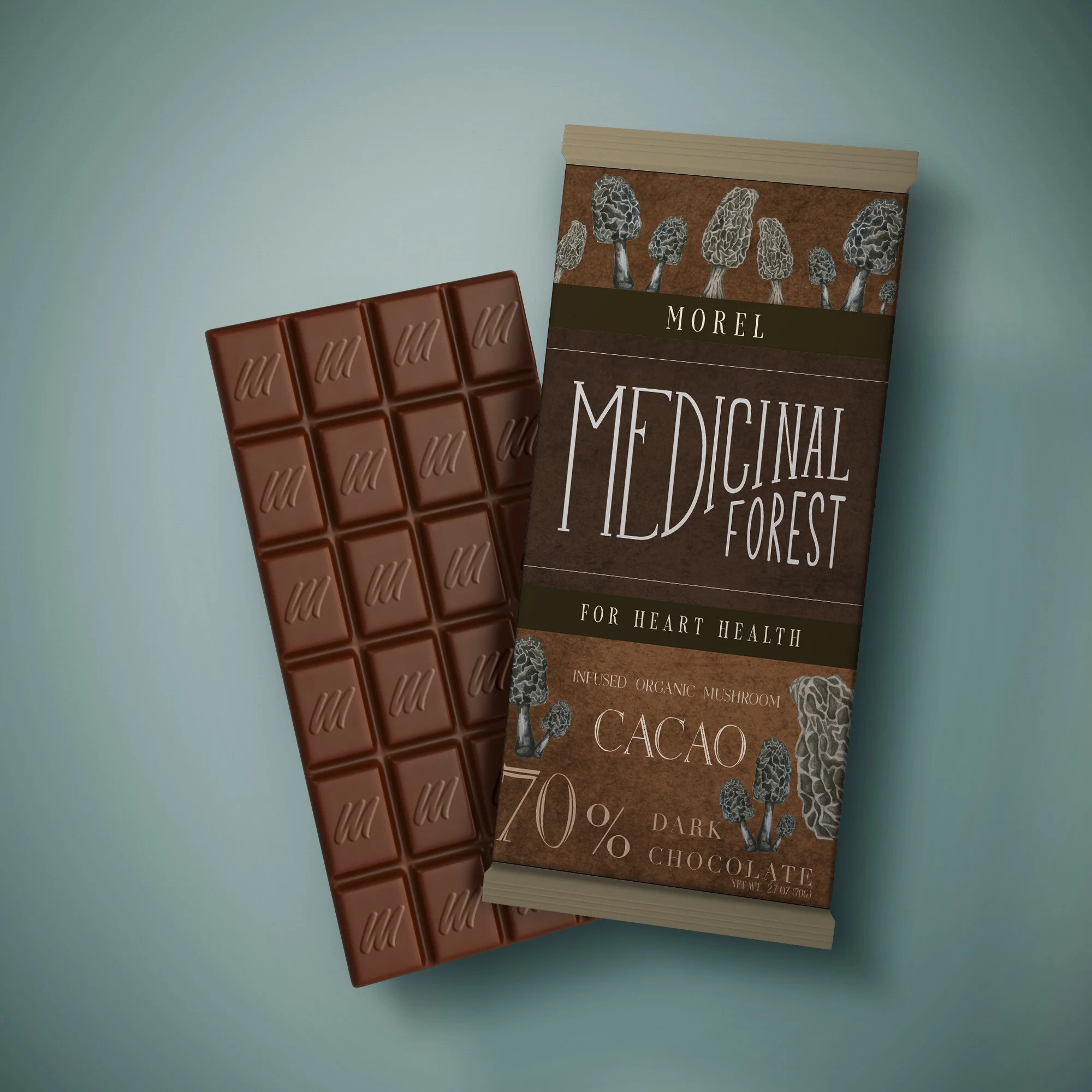 morelchocolaterevision.jpg