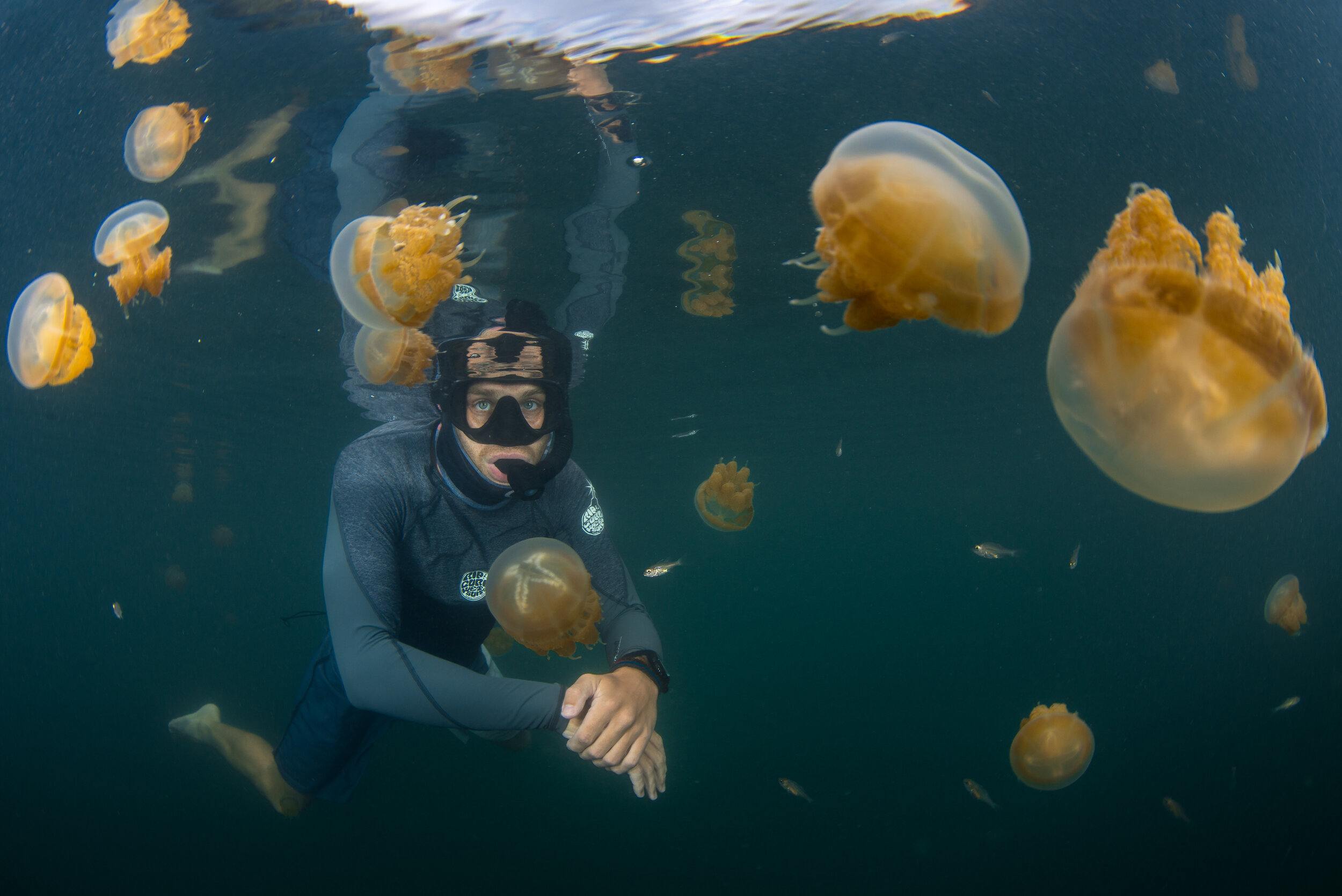 Jellyfish lake 6 (1 of 1).jpg