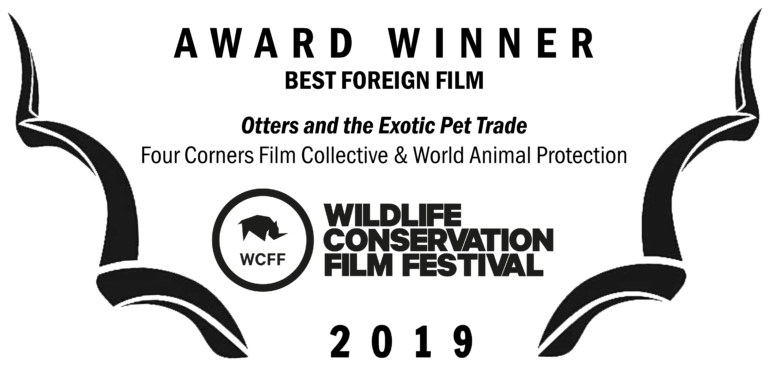 WCFF2019-Award-Foreign-768x376.png