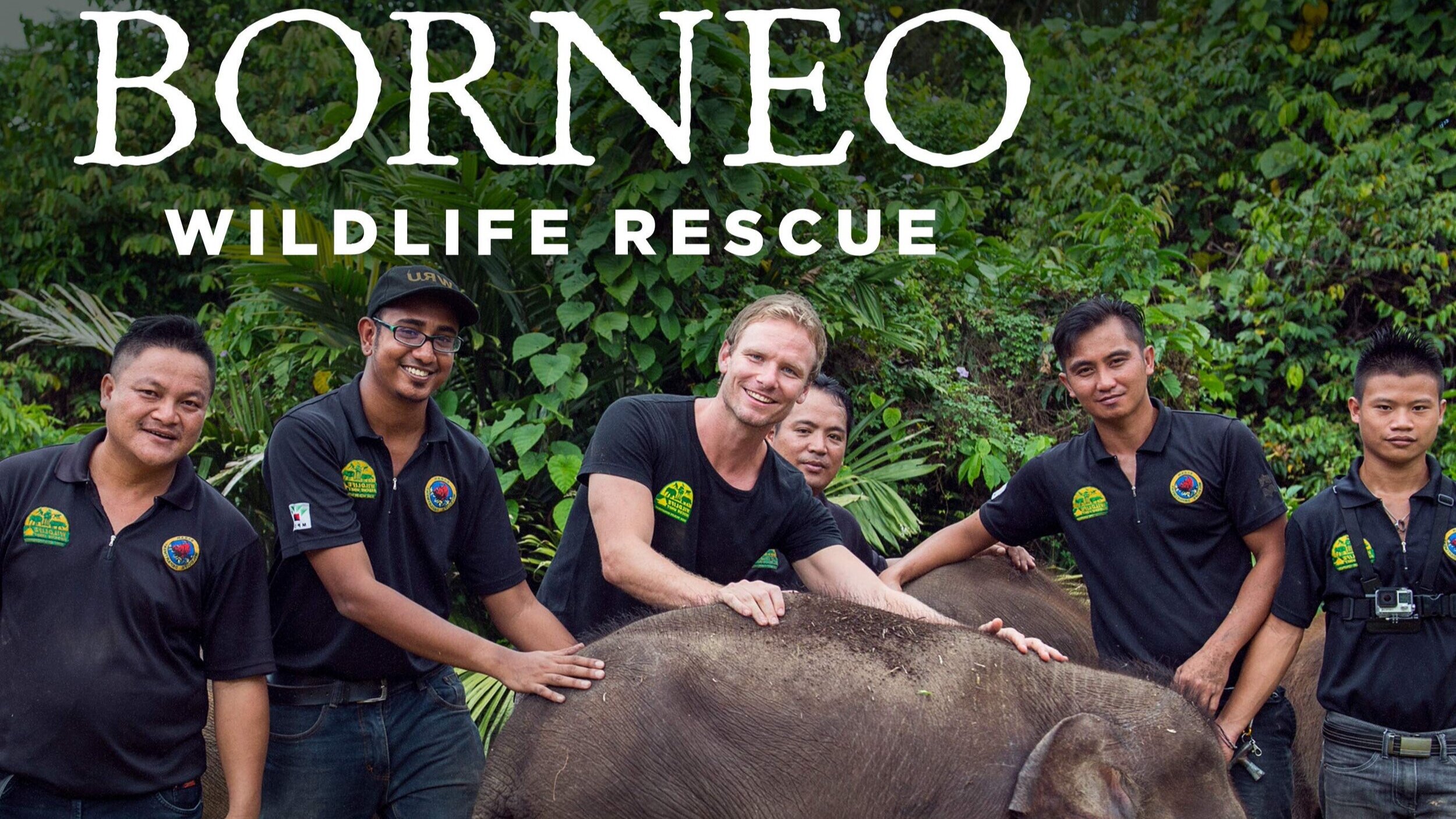 Mini Series – “Borneo Wildlife Rescue”