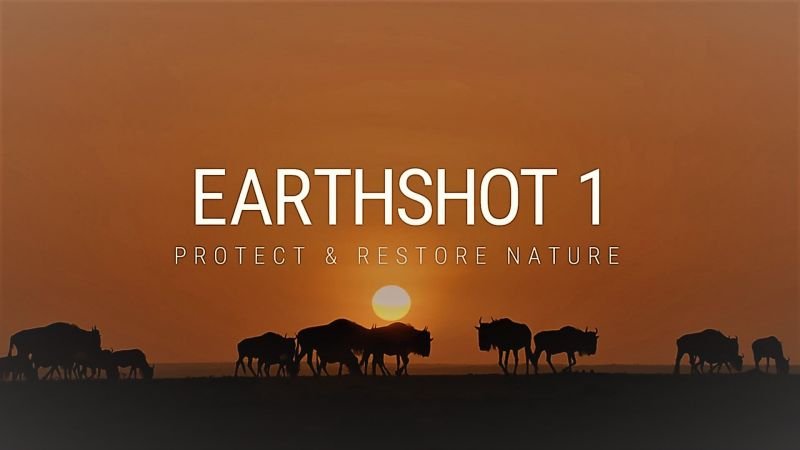 TV Series - "The Earthshot Prize"