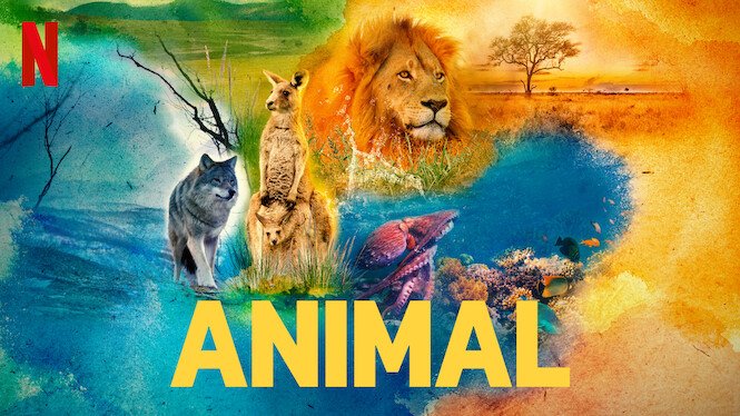 TV Series - "Animal"