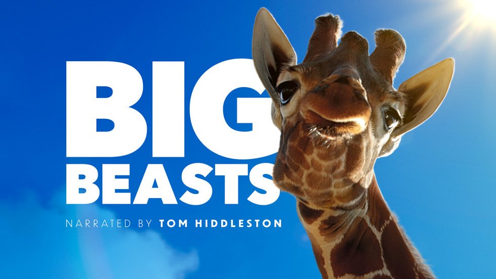 TV Series - "Big Beasts"