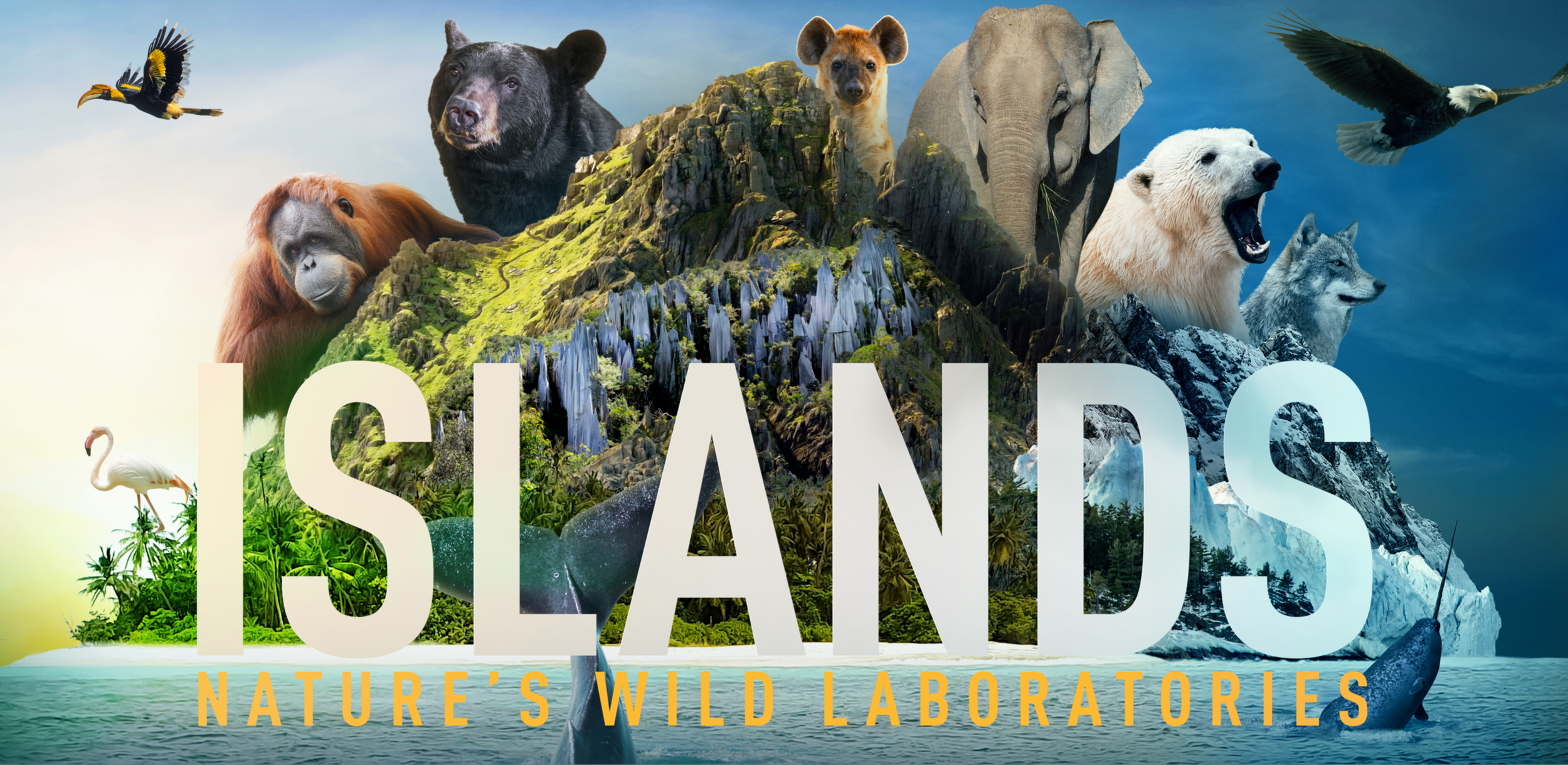 TV Series - "Islands: Nature's Wild Laboratories"
