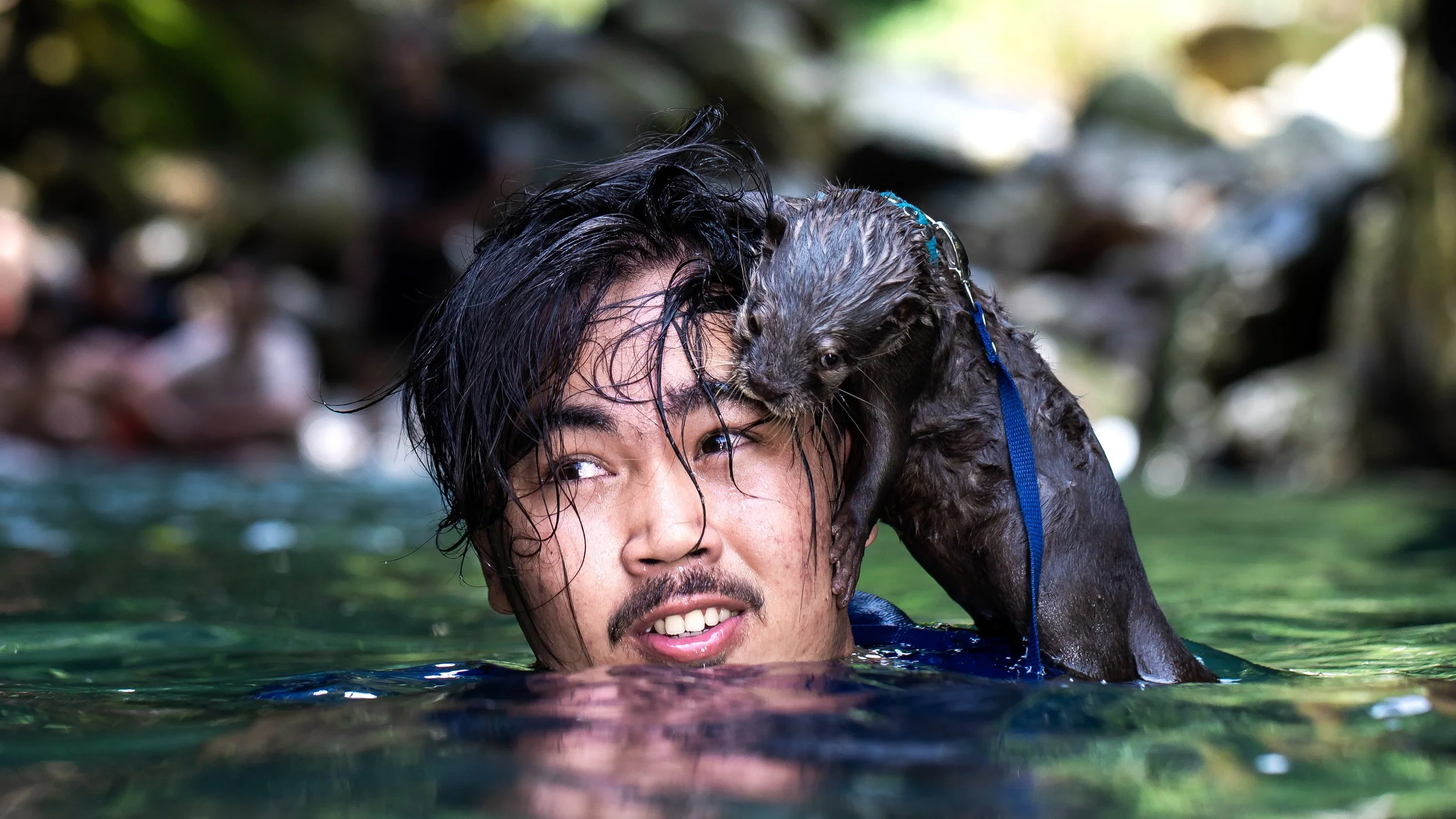 Otters &amp; The Exotic Pet Trade