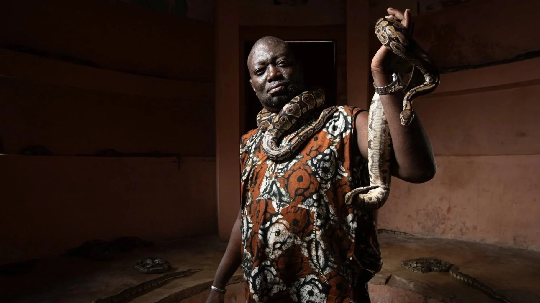 Pythons &amp; The Exotic Pet Trade