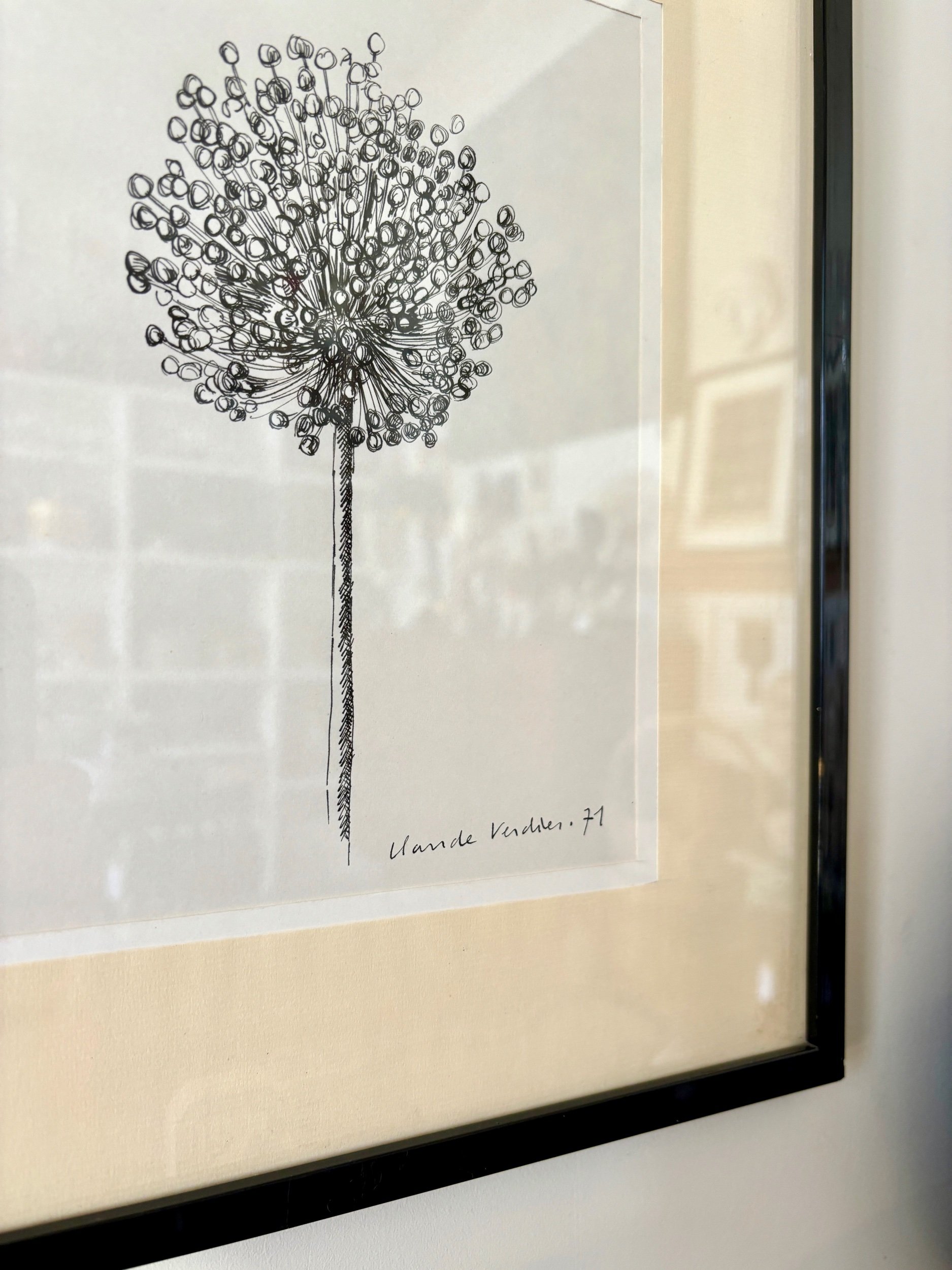 dessin-noir-blanc-art-claude-verdier-pissenlit-decoration-vintage-axs-design-paris-france