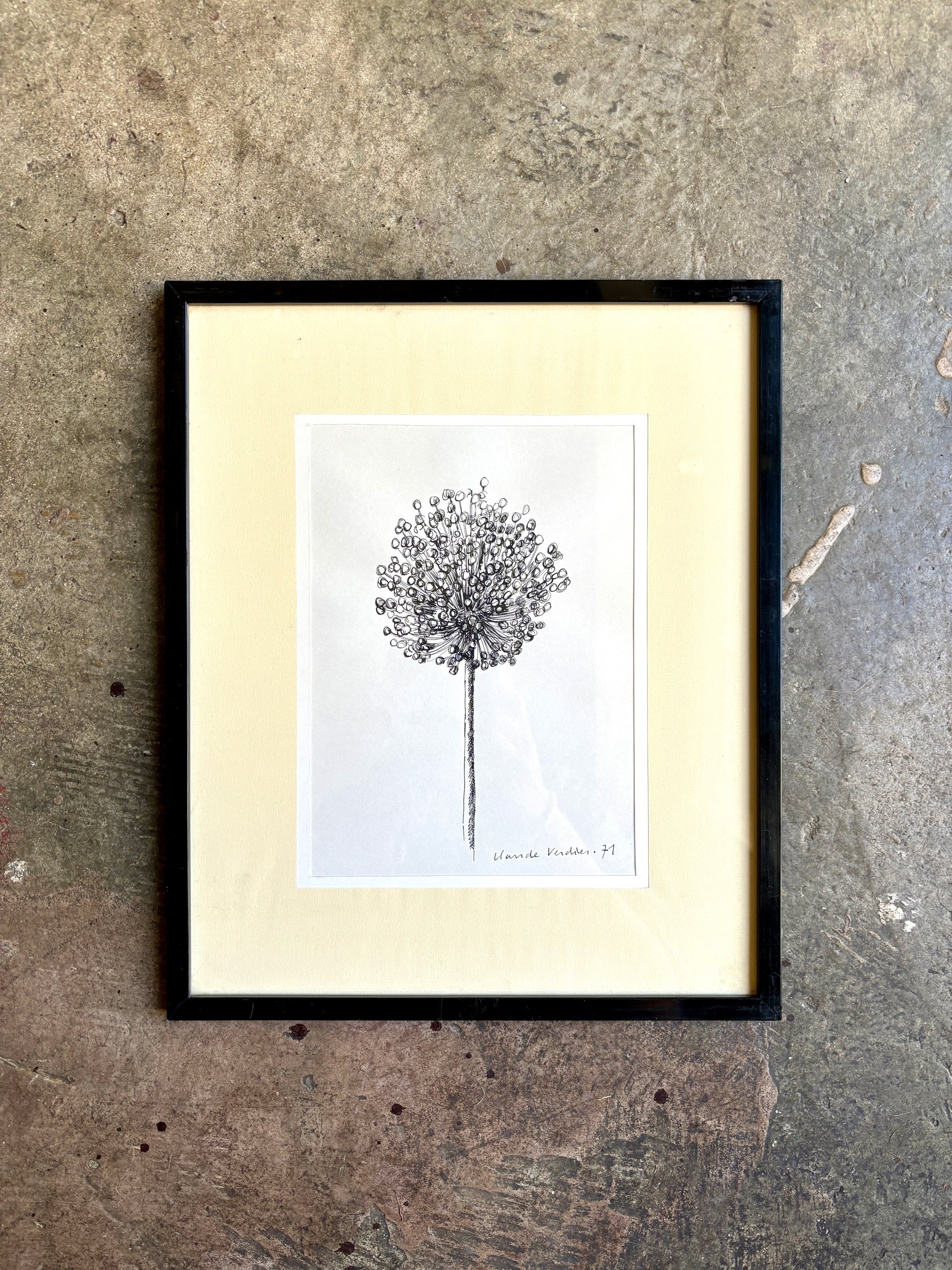 dessin-noir-blanc-art-claude-verdier-pissenlit-decoration-vintage-axs-design-paris-france